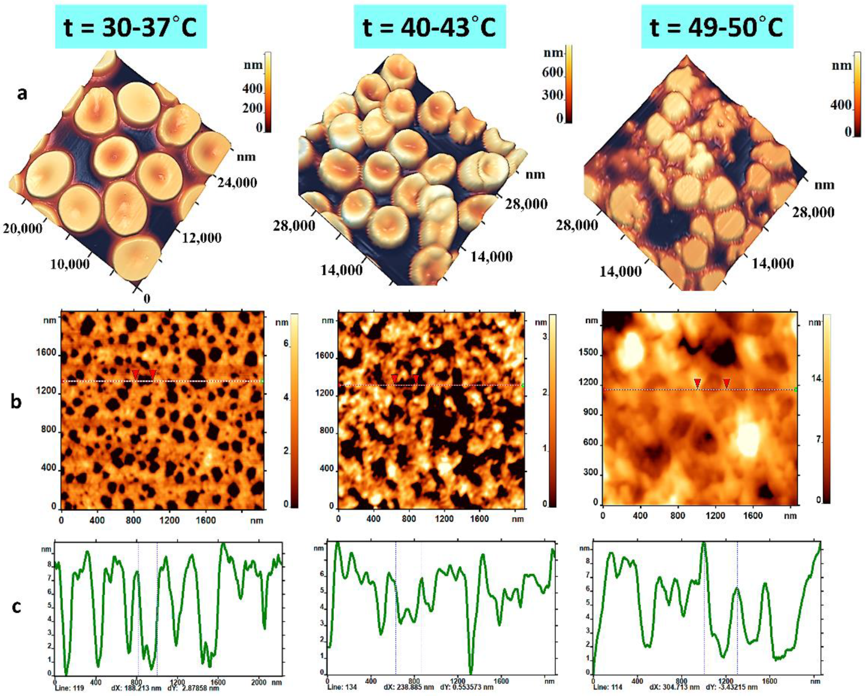 Ijms 23 02045 g005 550