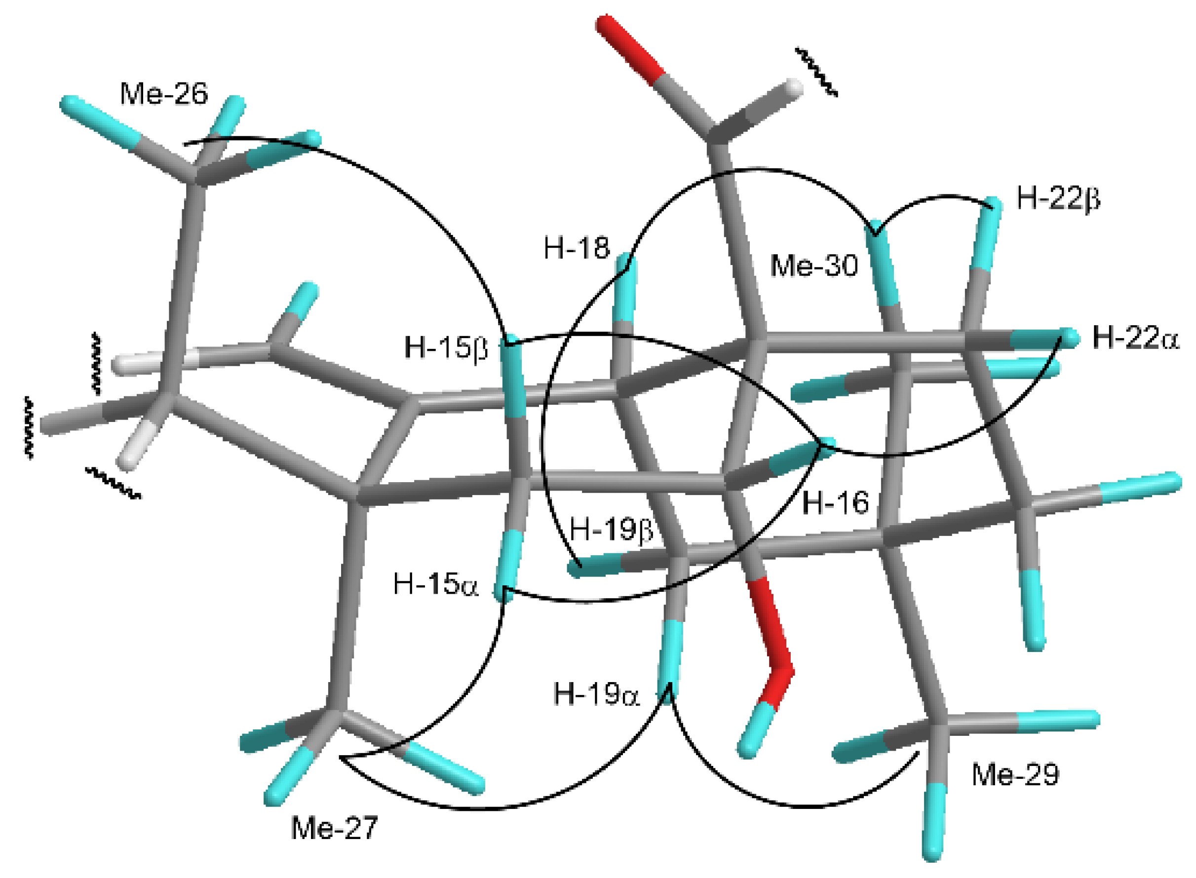 Ijms 23 02047 g002 550