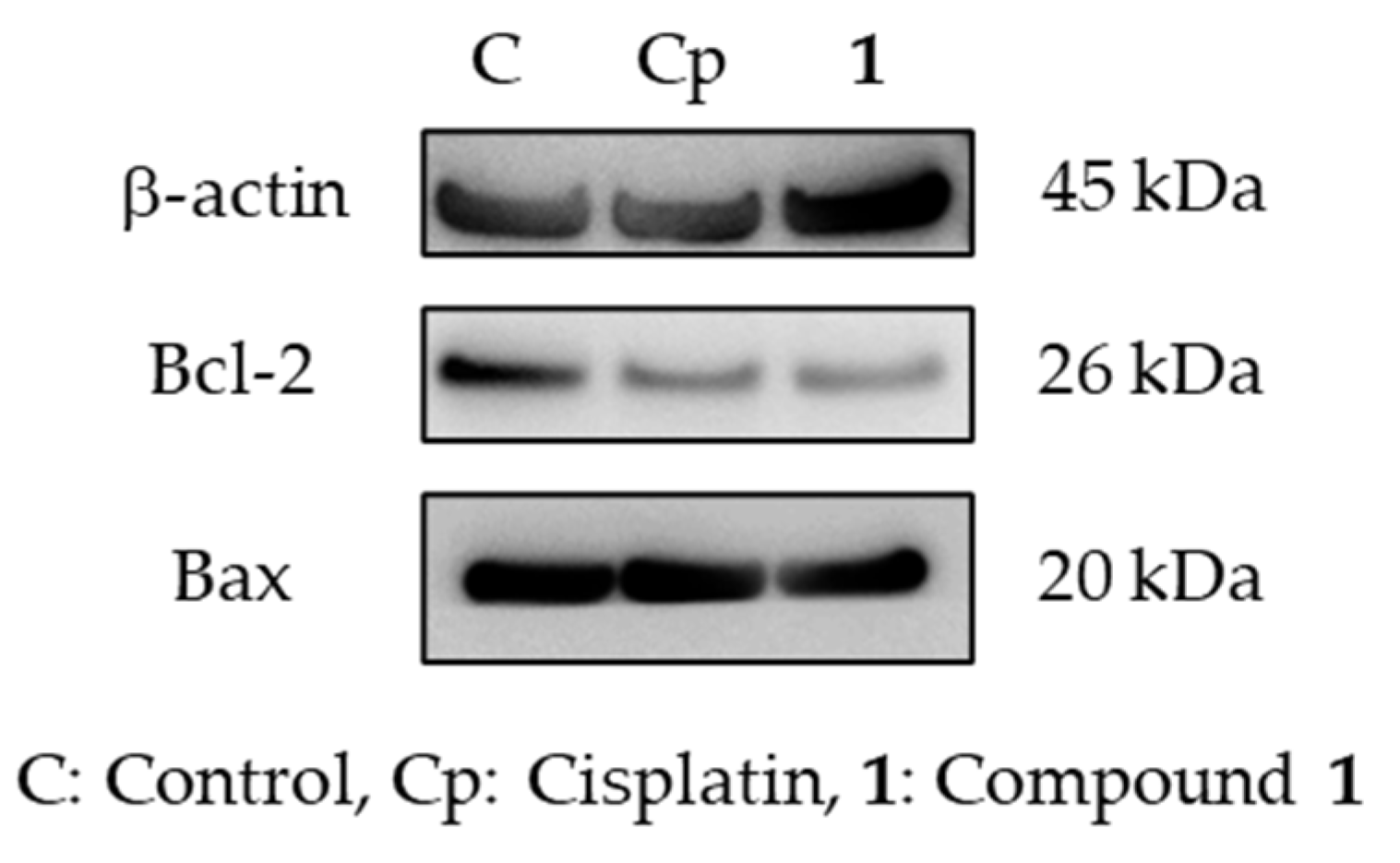 Ijms 23 02047 g009 550