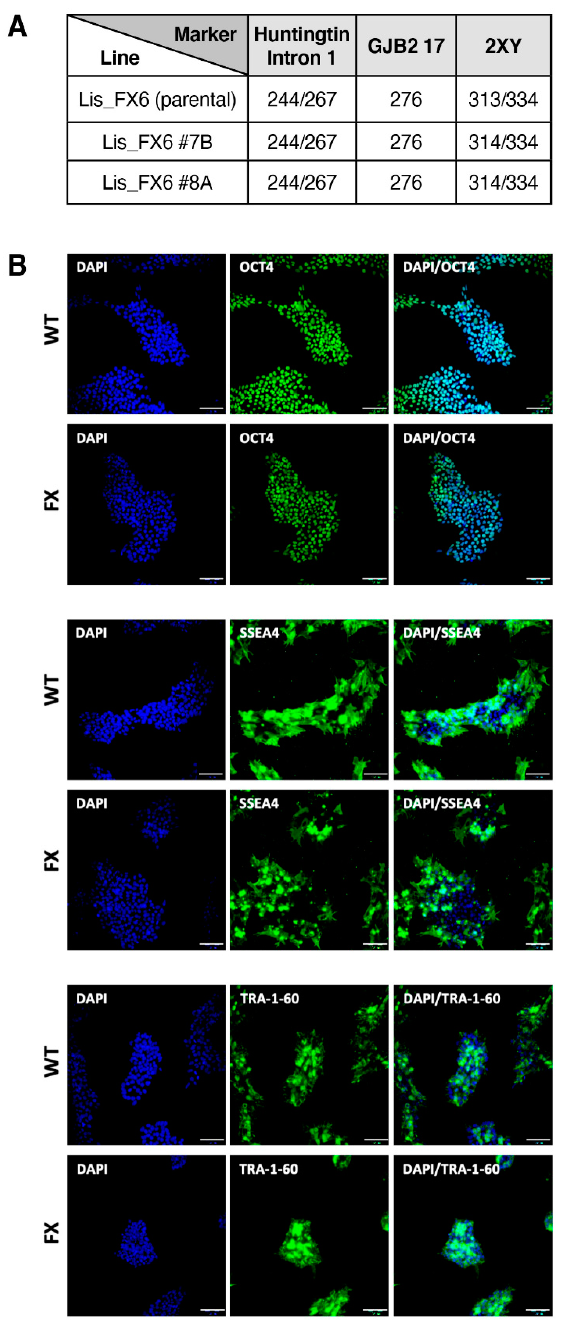 Ijms 23 02048 sch001a