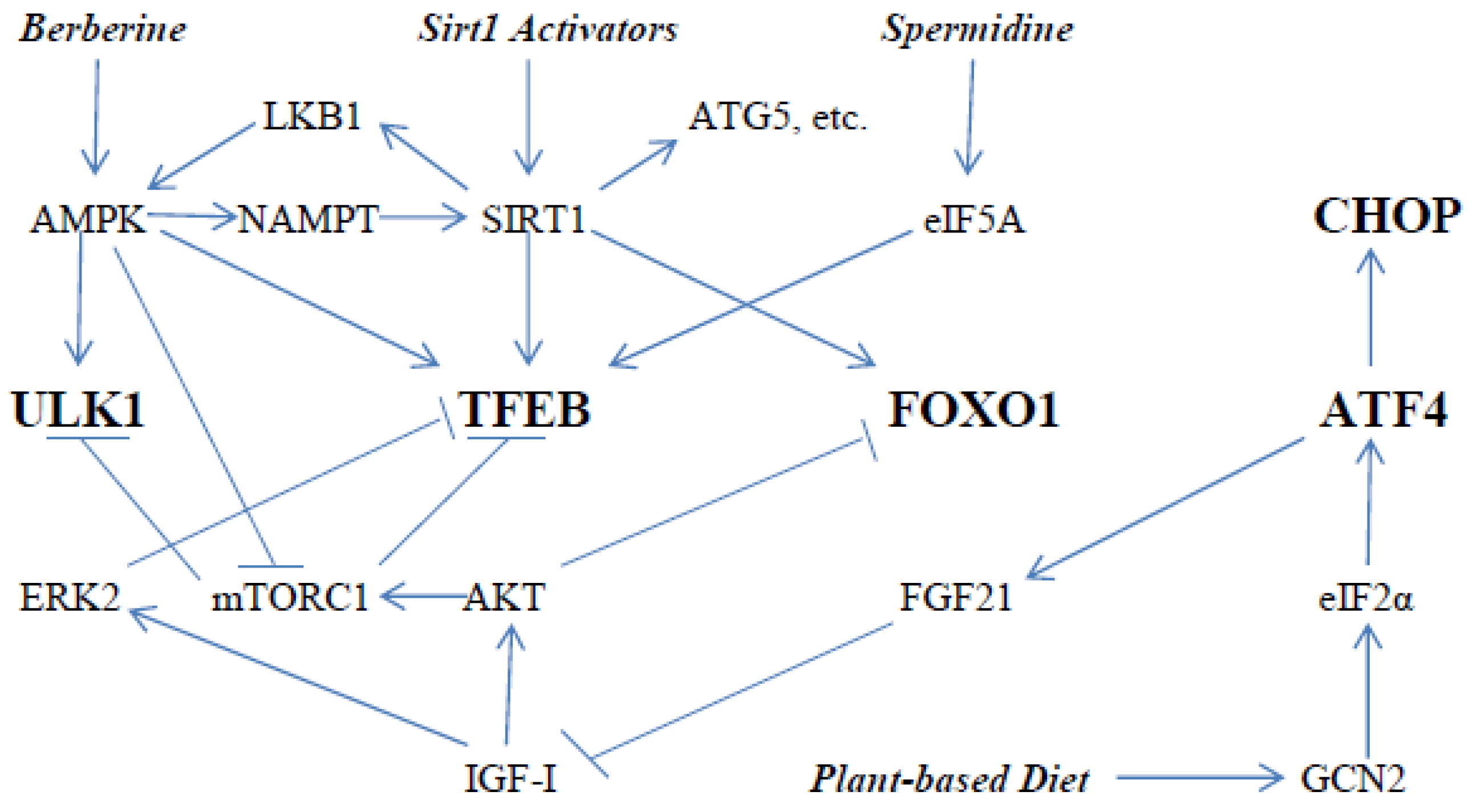 Ijms 23 02054 g001 550