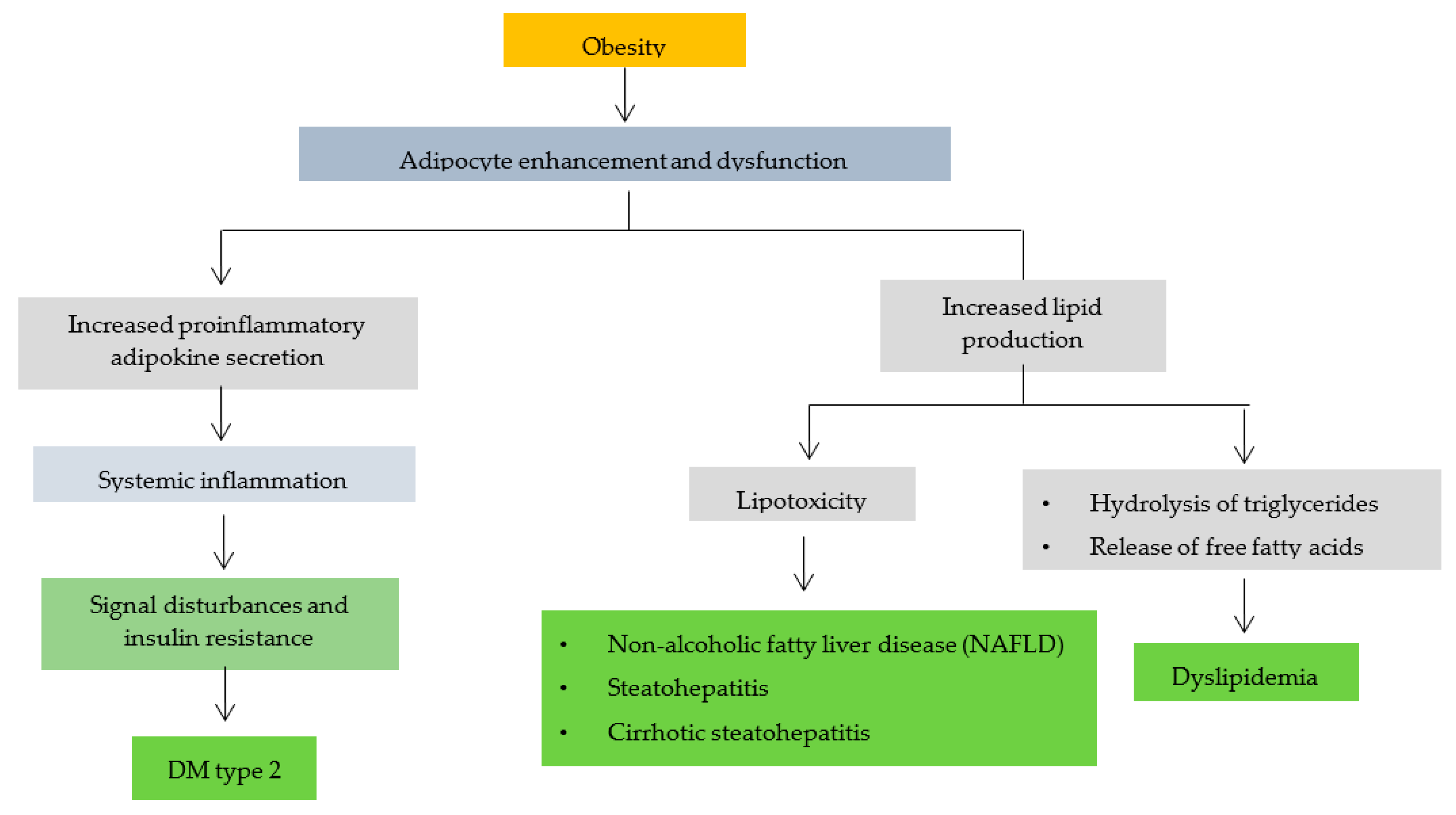 Ijms 23 02056 g002 Ijms 23 02056 g002