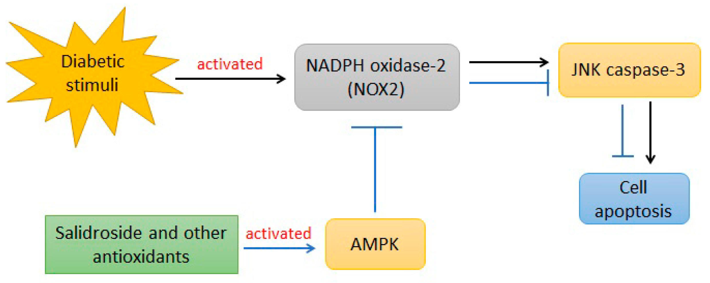 Ijms 23 02056 g004 Ijms 23 02056 g004