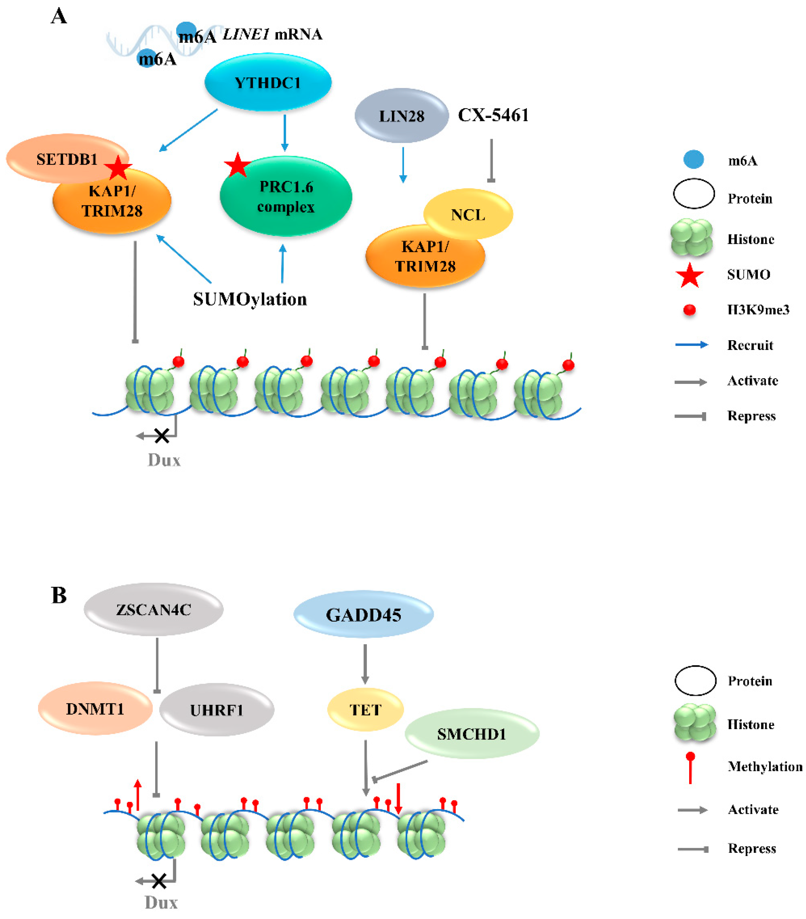 Ijms 23 02067 g002 Ijms 23 02067 g002