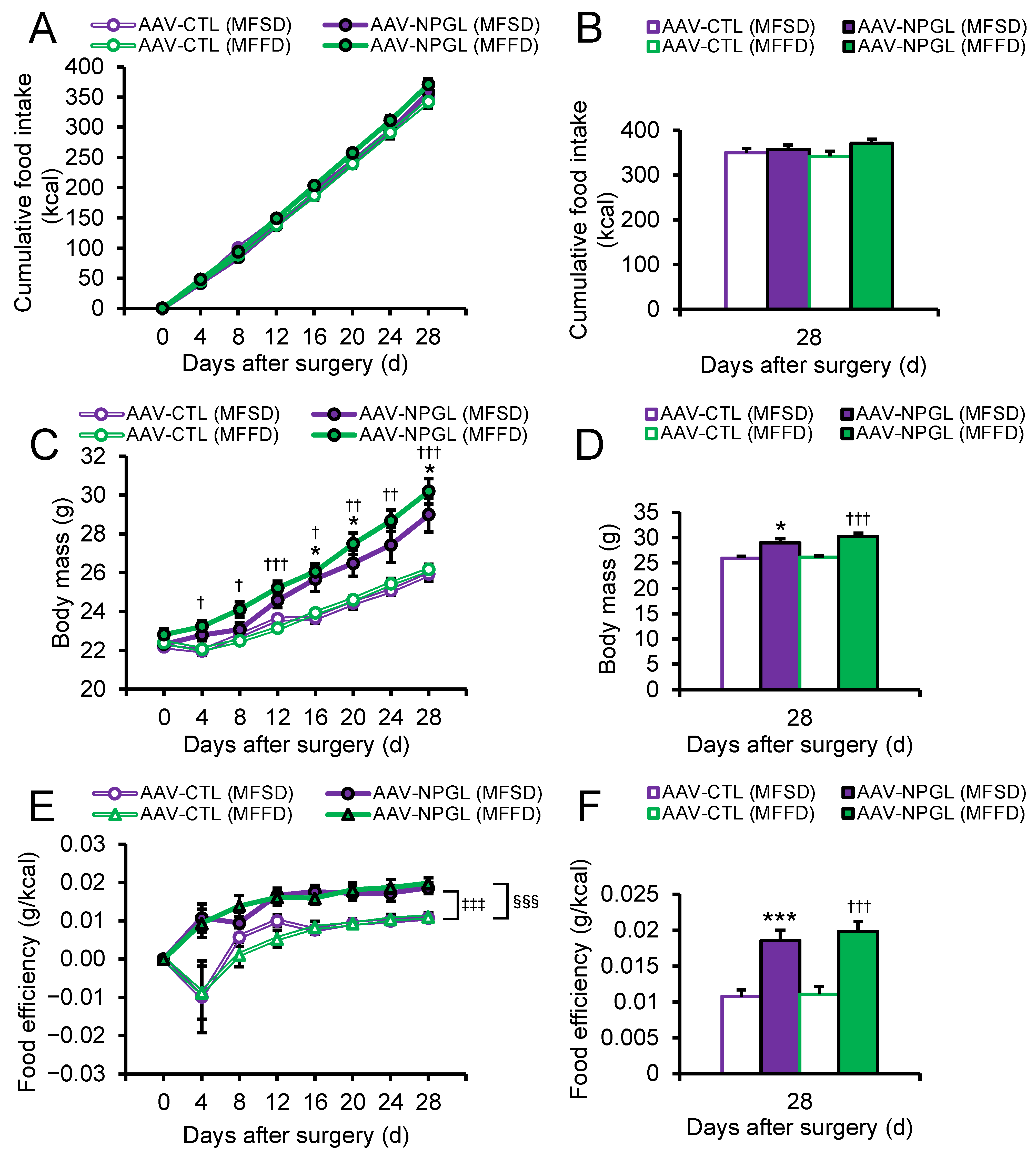Ijms 23 02071 g001 550