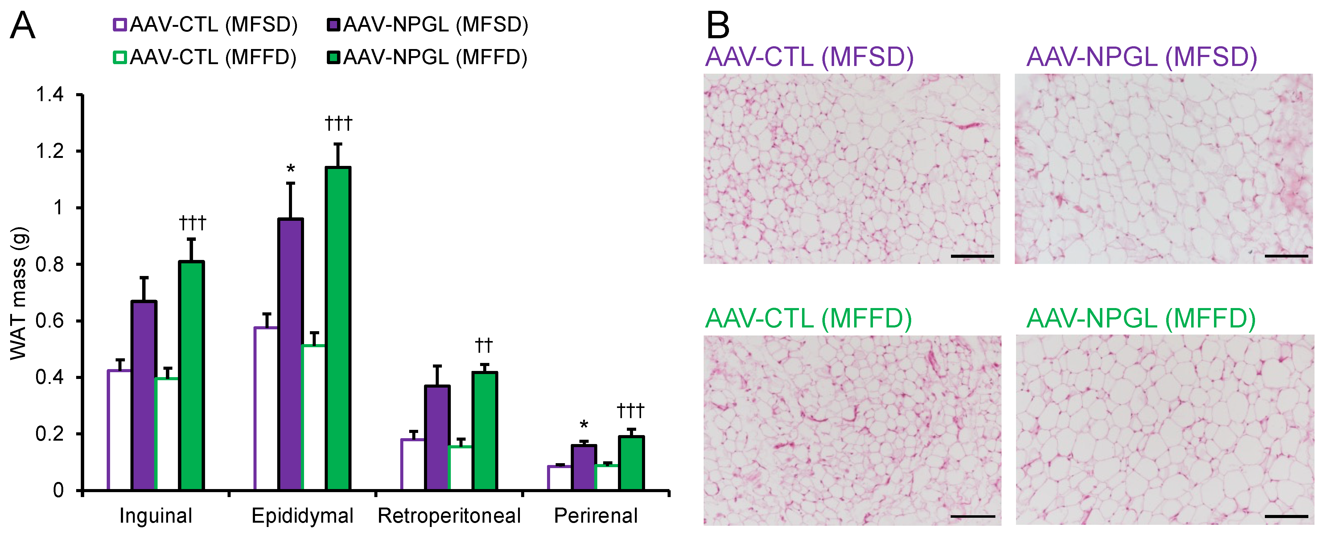Ijms 23 02071 g002 550