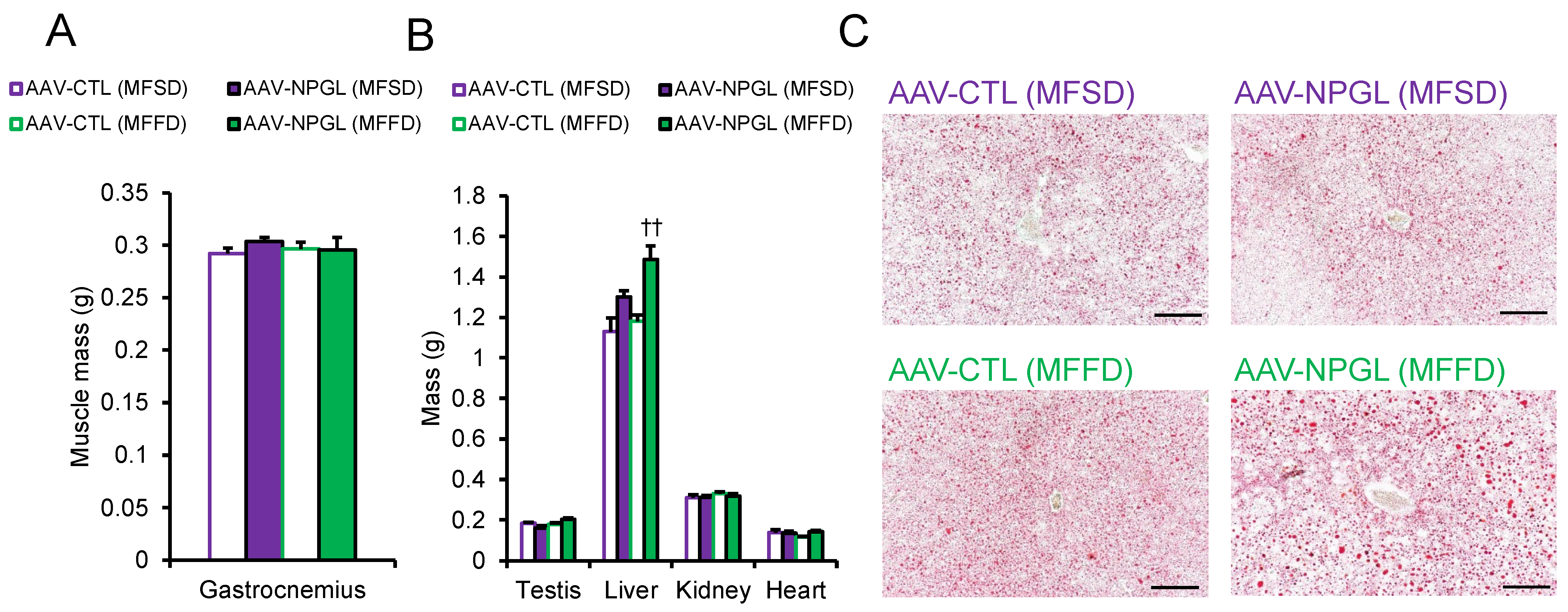 Ijms 23 02071 g003 550