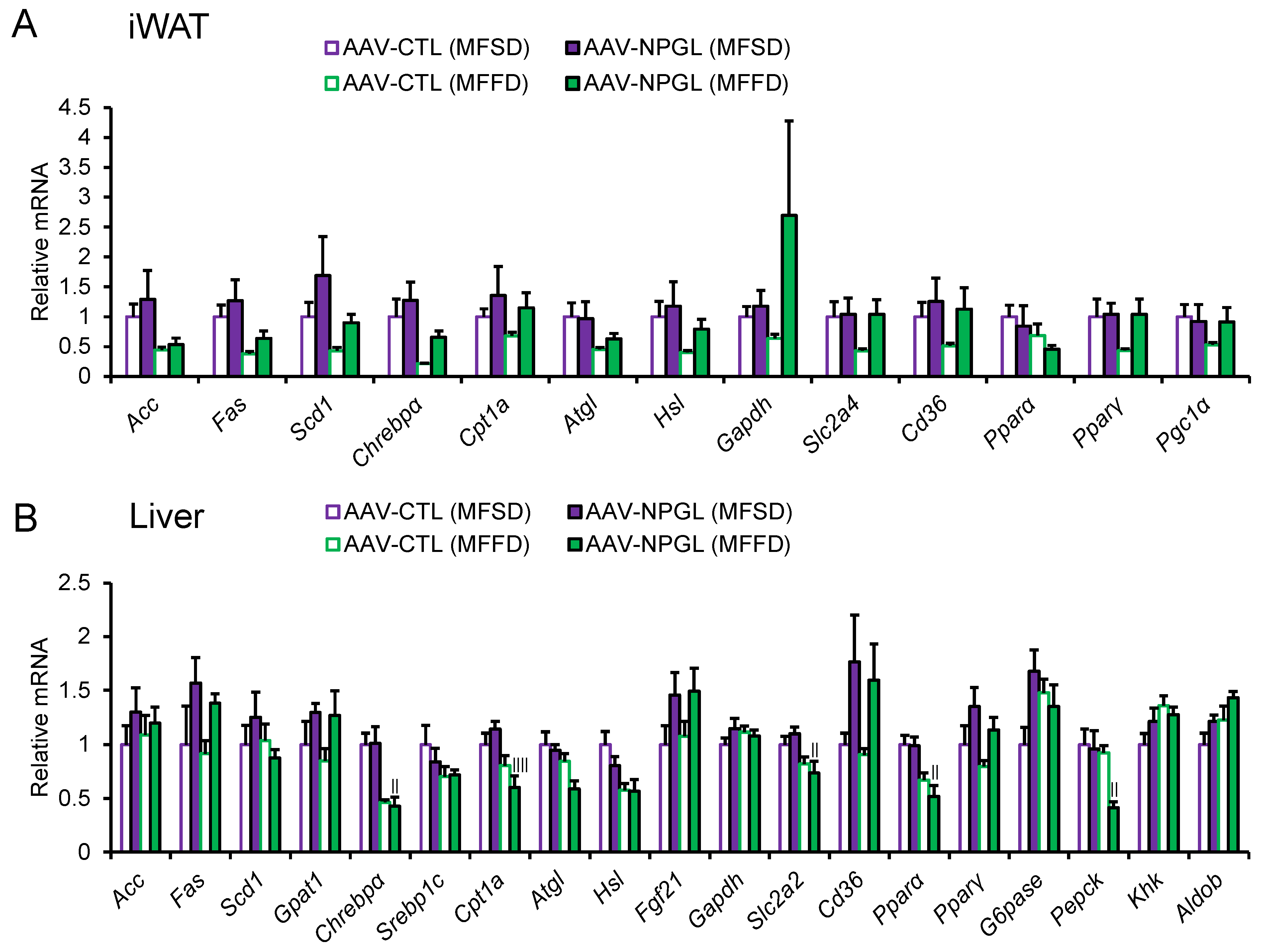 Ijms 23 02071 g005 550