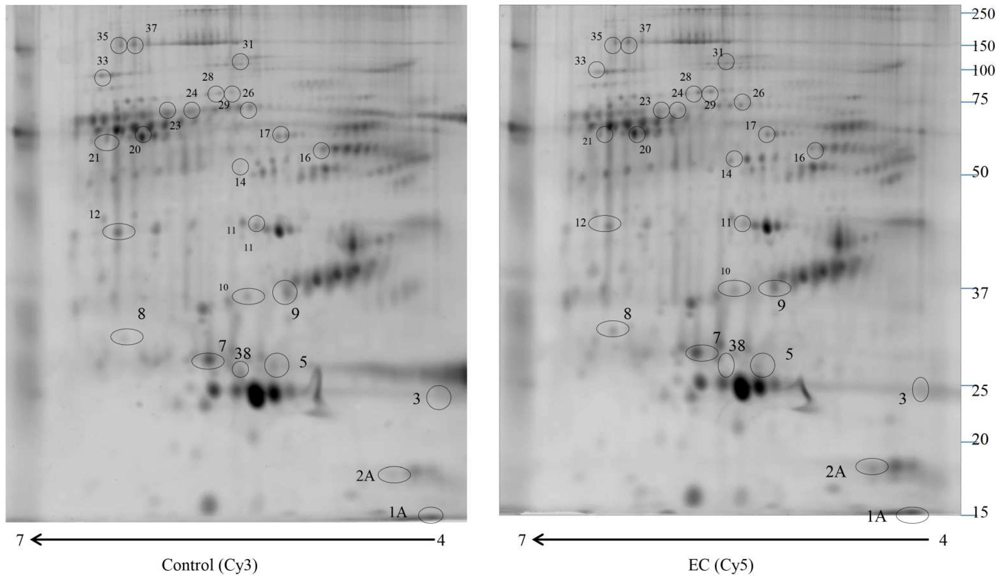 Ijms 23 02076 g001 550