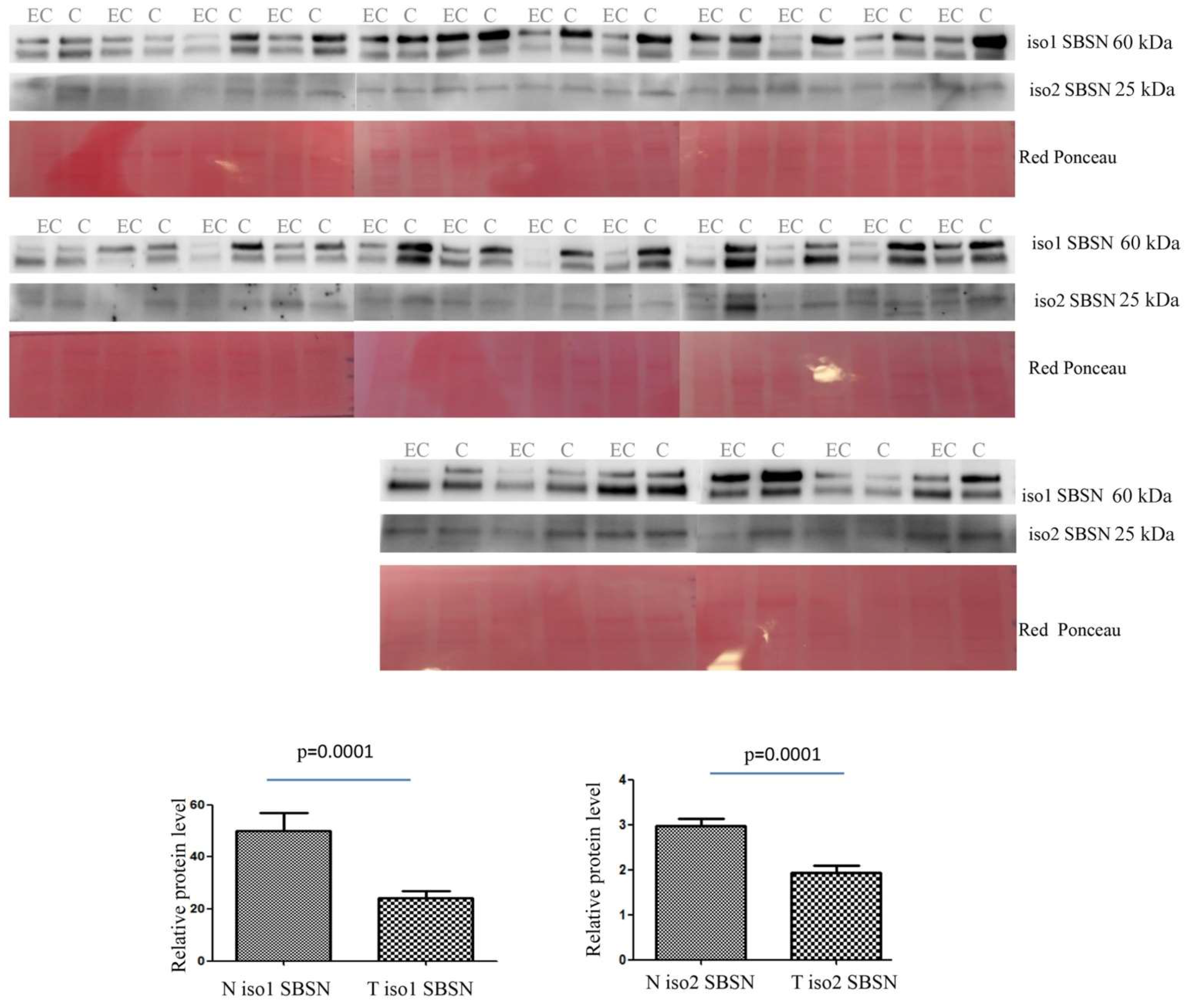 Ijms 23 02076 g003 550