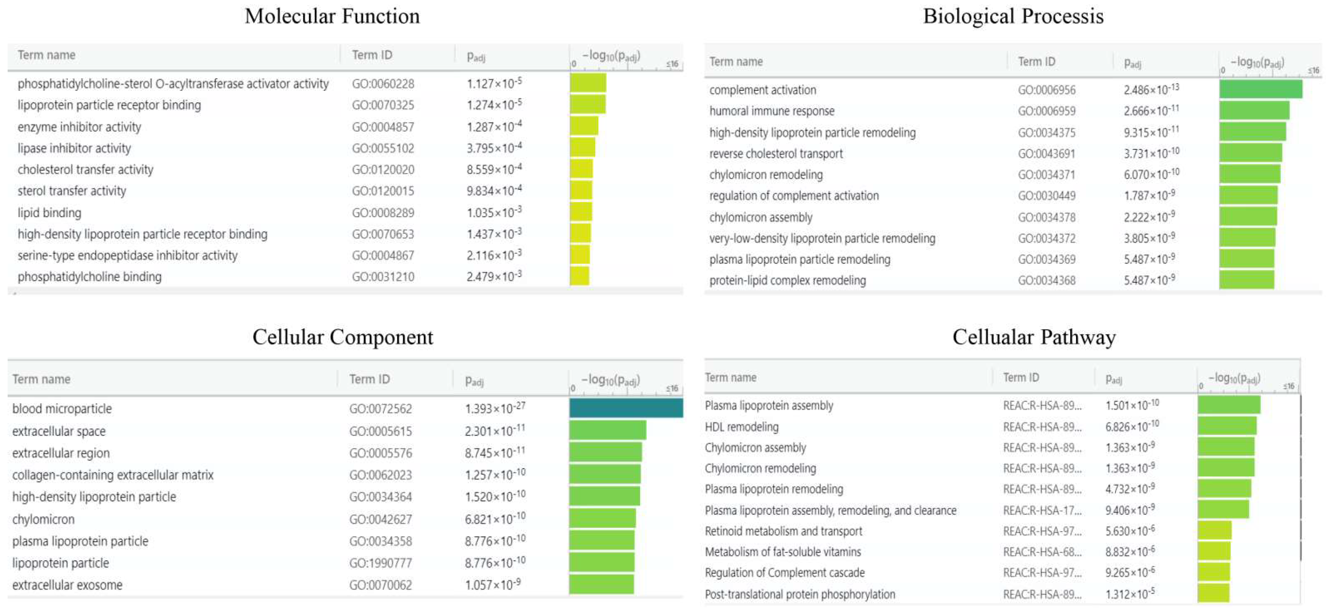 Ijms 23 02076 g007 550
