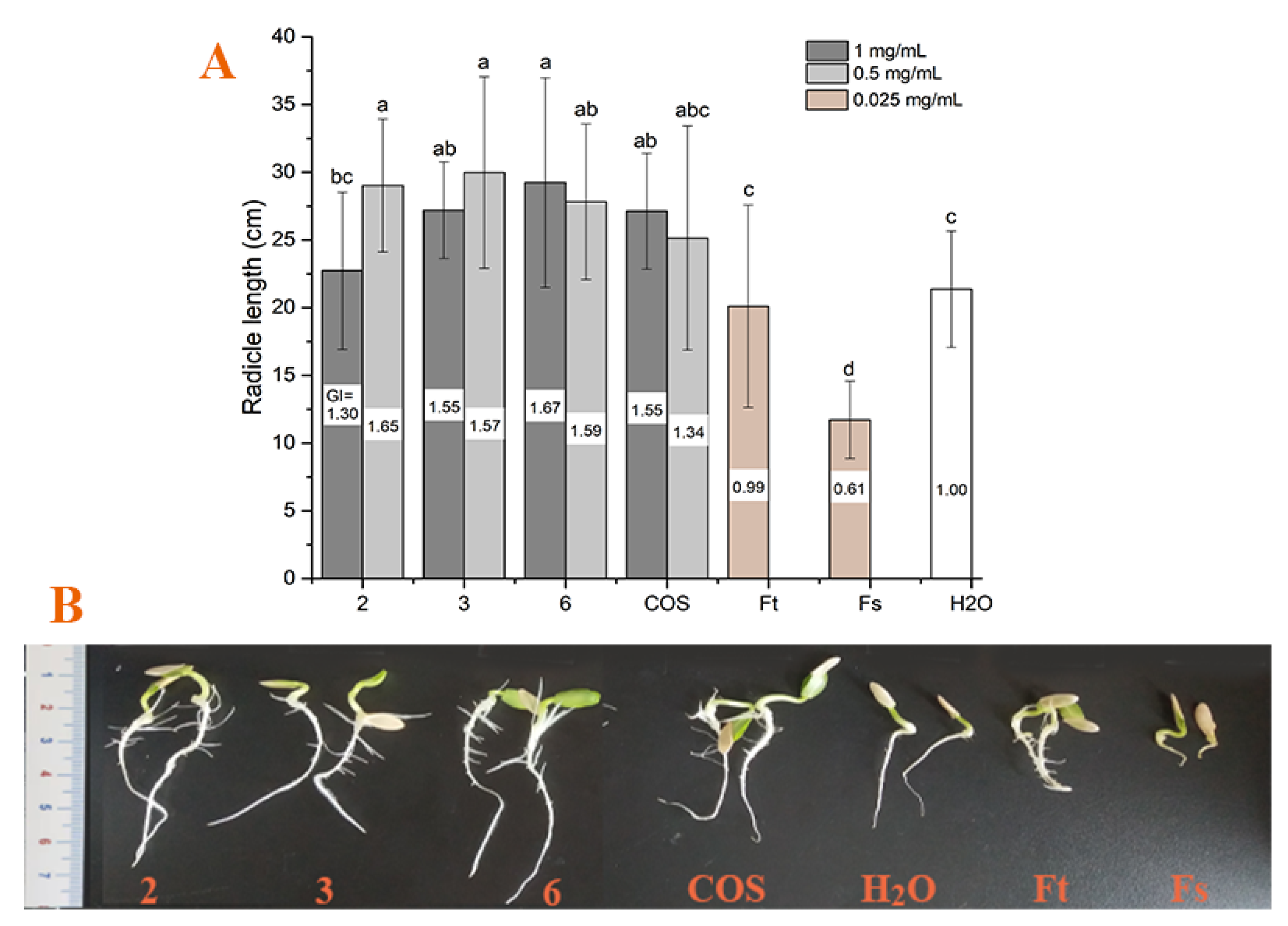 Ijms 23 02080 g007 550