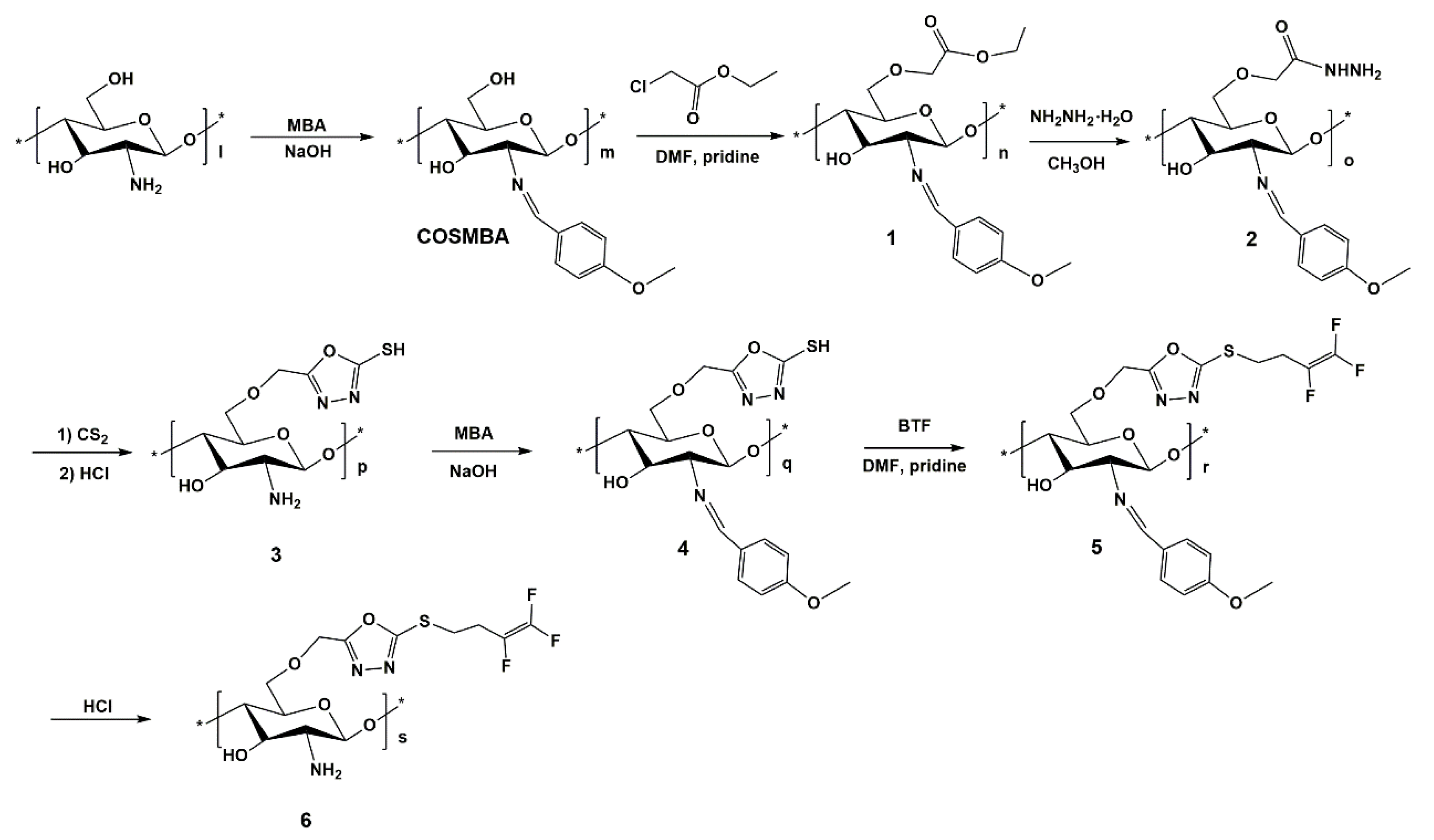 Ijms 23 02080 sch001 550