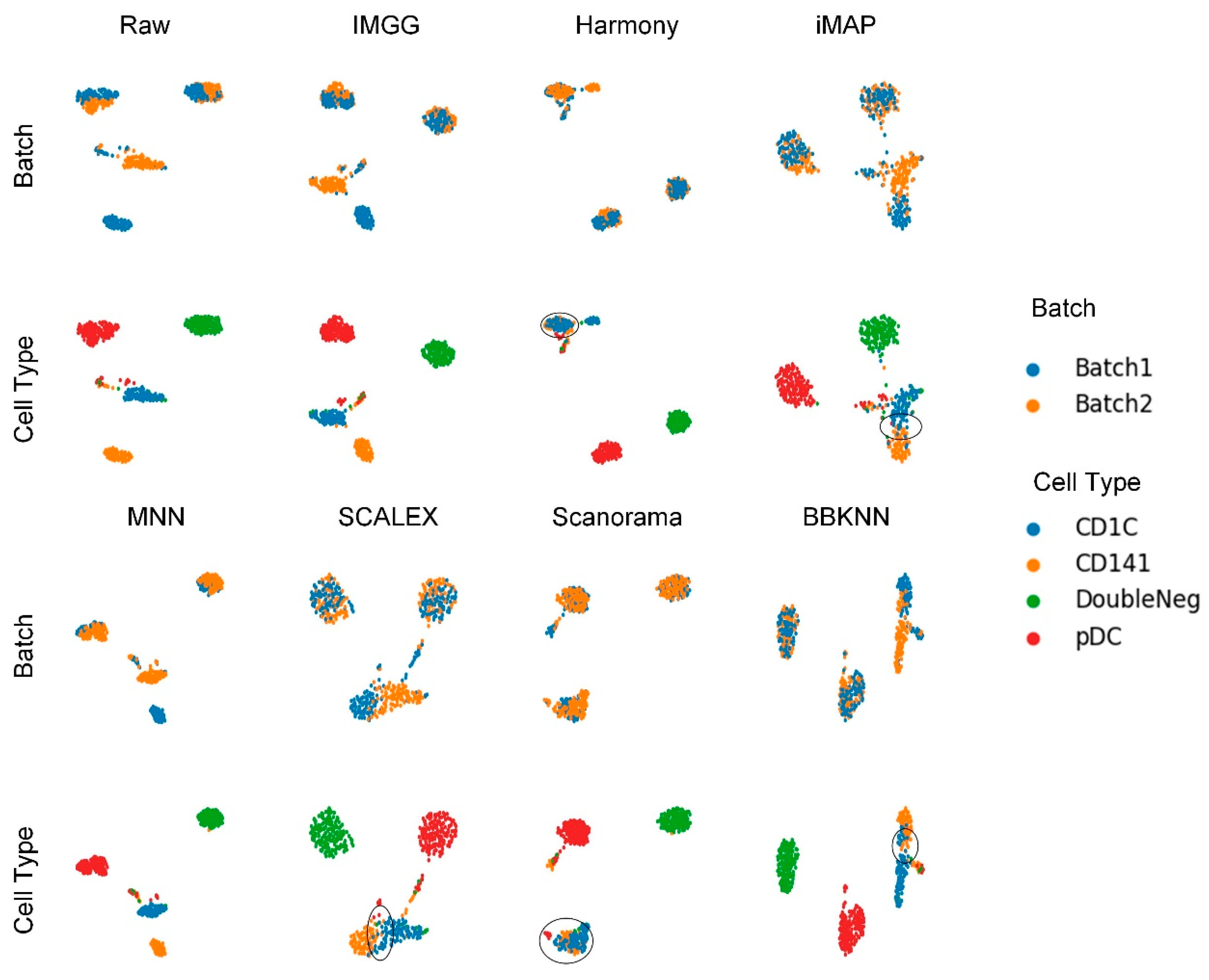 Ijms 23 02082 g006 550