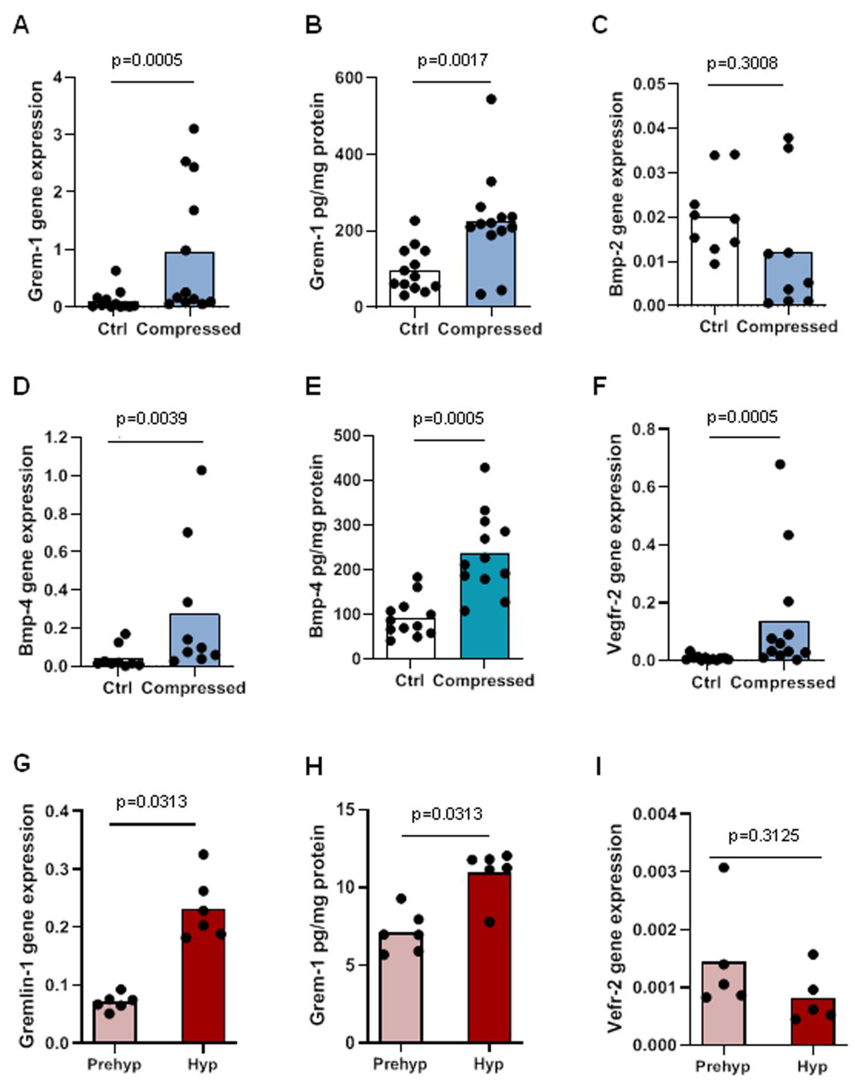 Ijms 23 02084 g002 550