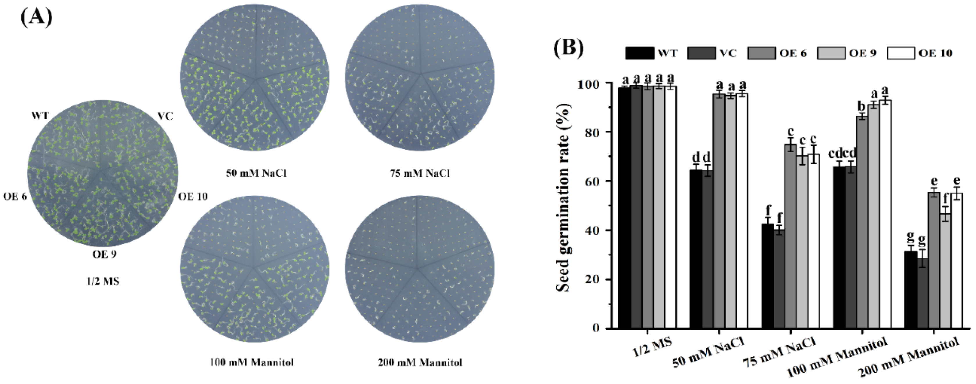 Ijms 23 02085 g003 550