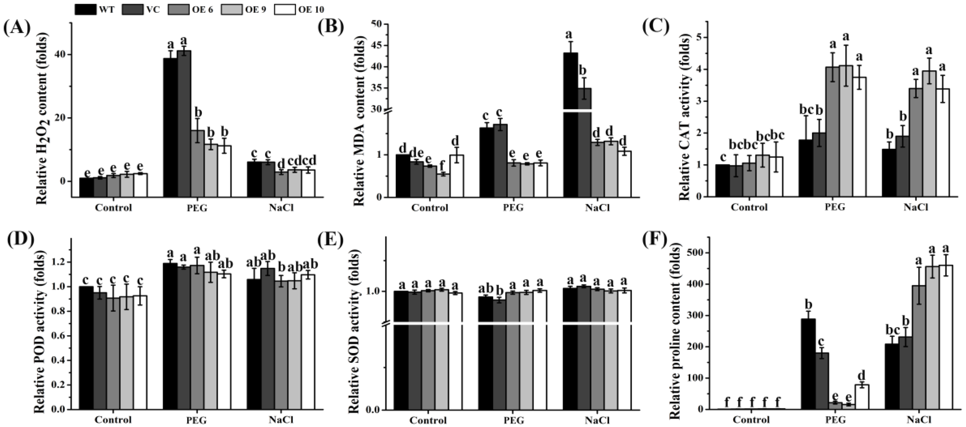 Ijms 23 02085 g008 550