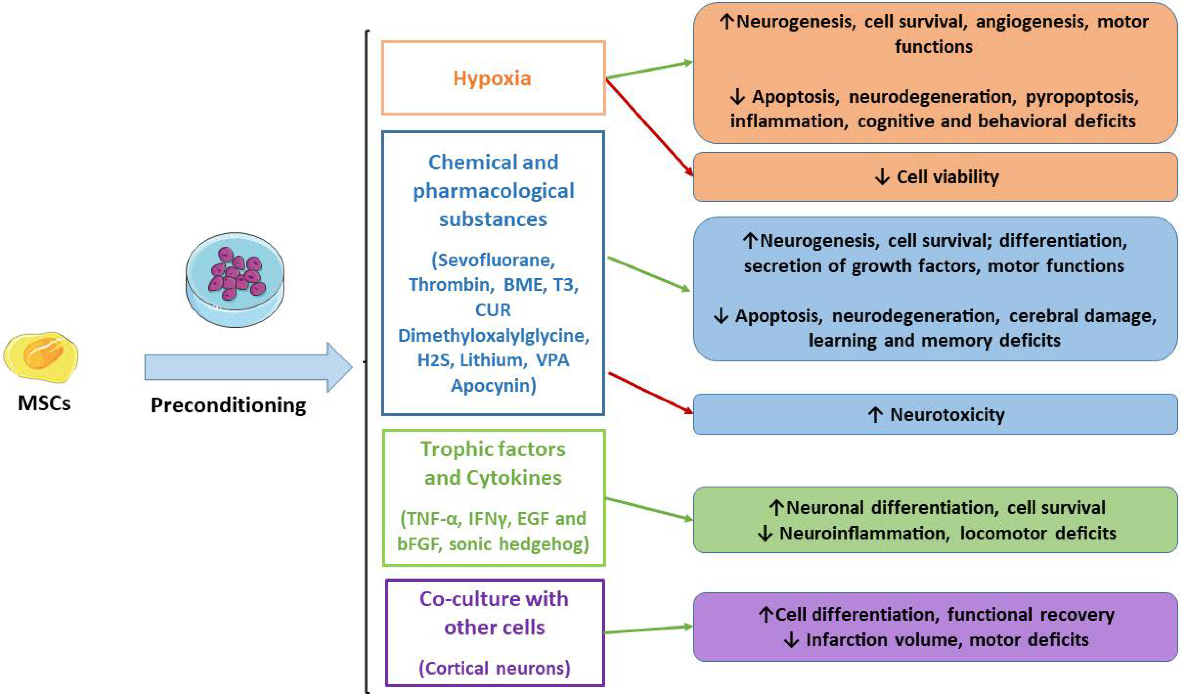 Ijms 23 02088 g001 550