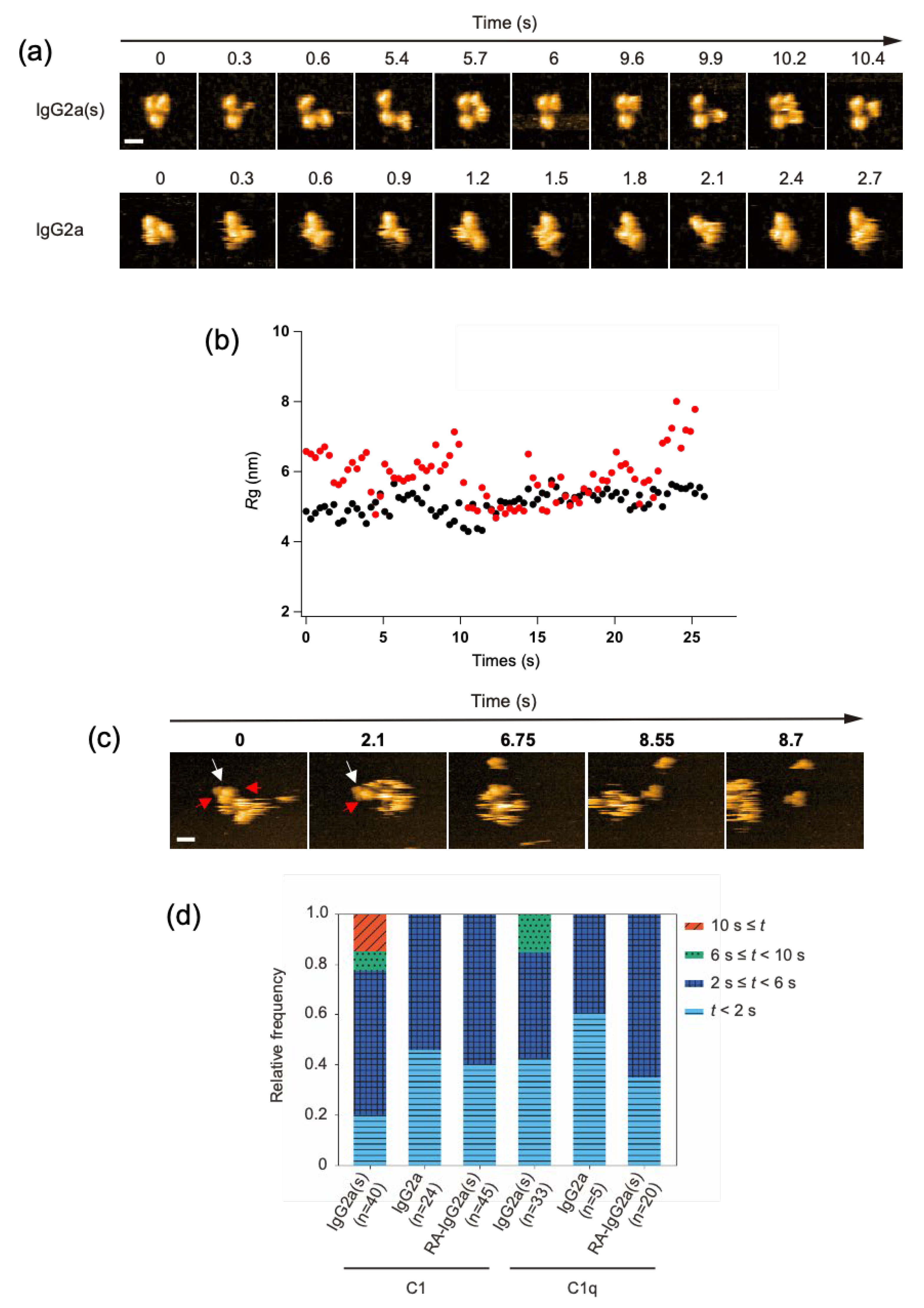 Ijms 23 02090 g003 550