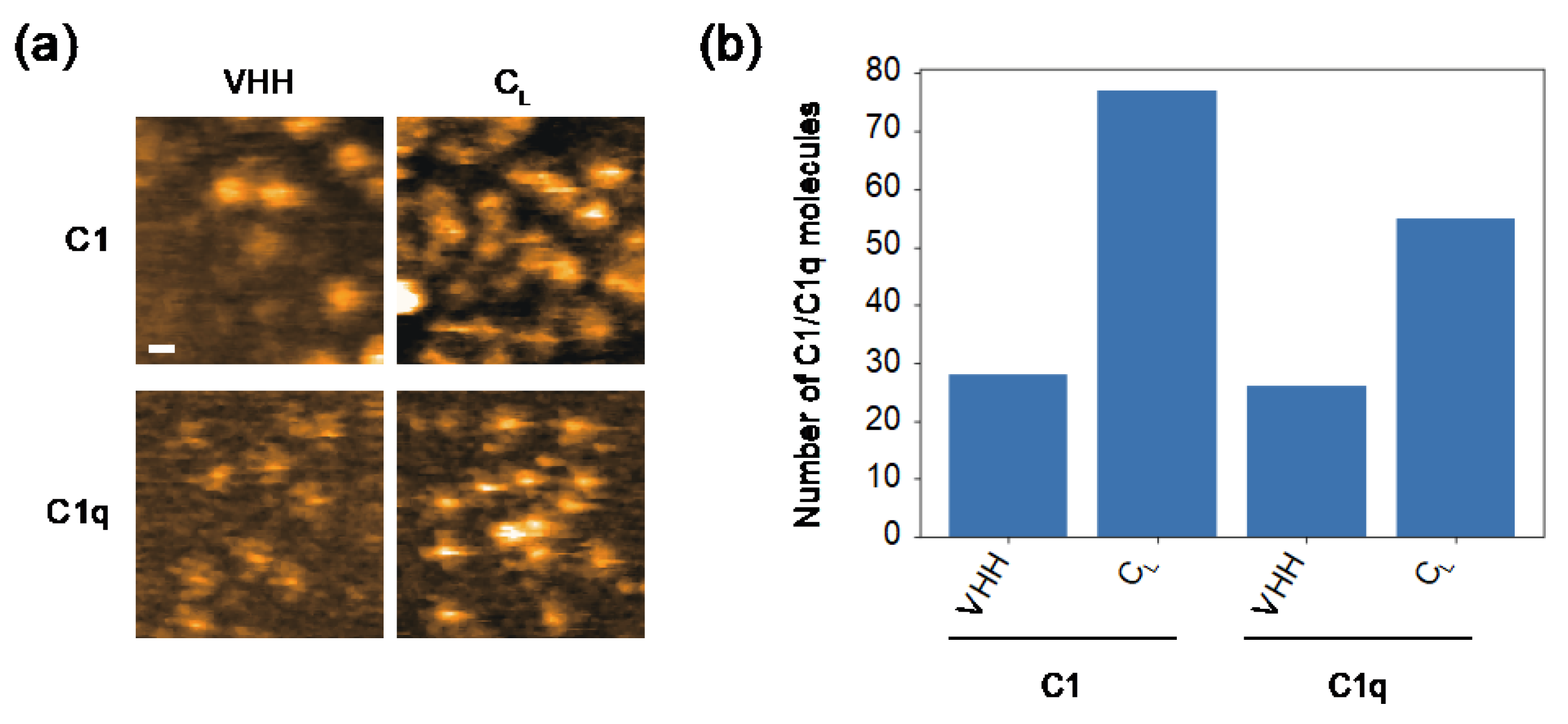 Ijms 23 02090 g004 550