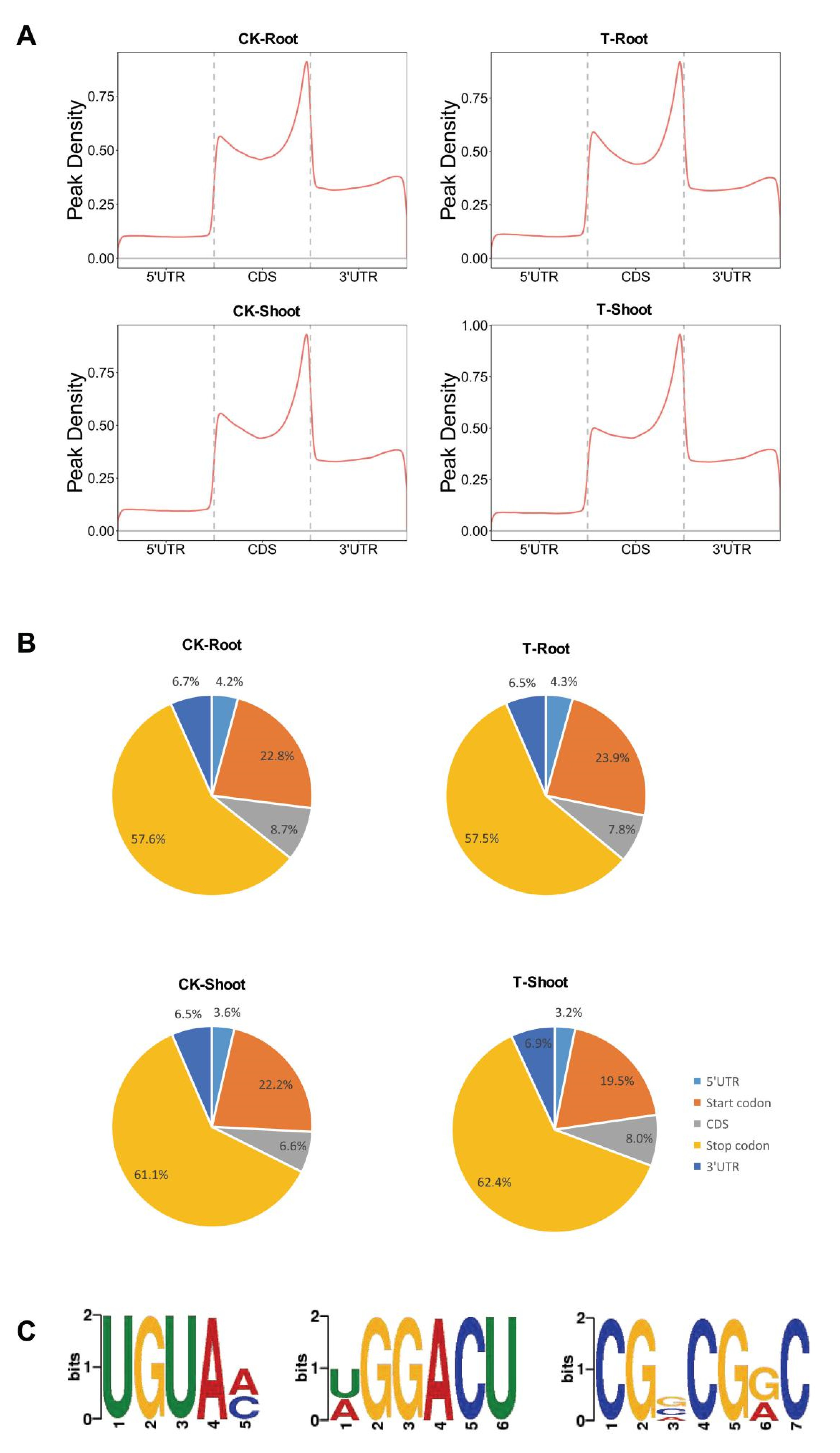 Ijms 23 02091 g004 550