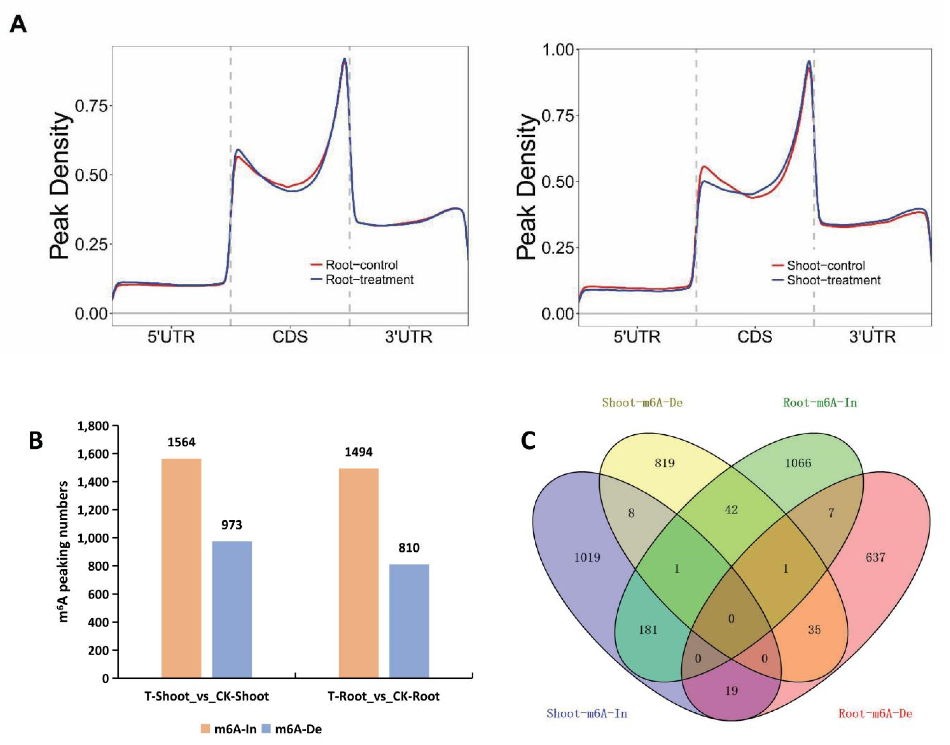 Ijms 23 02091 g005 550