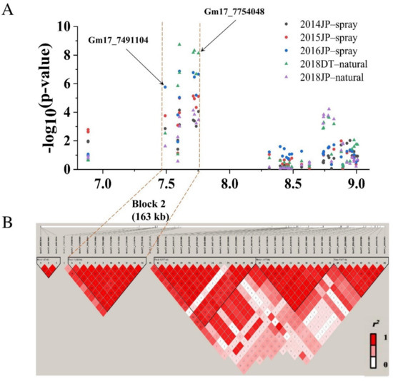 Identification of Novel Genomic Regions for Bacterial Leaf