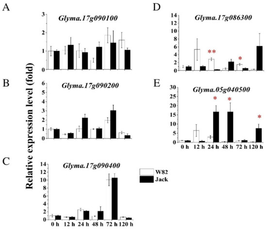 Identification of Novel Genomic Regions for Bacterial Leaf