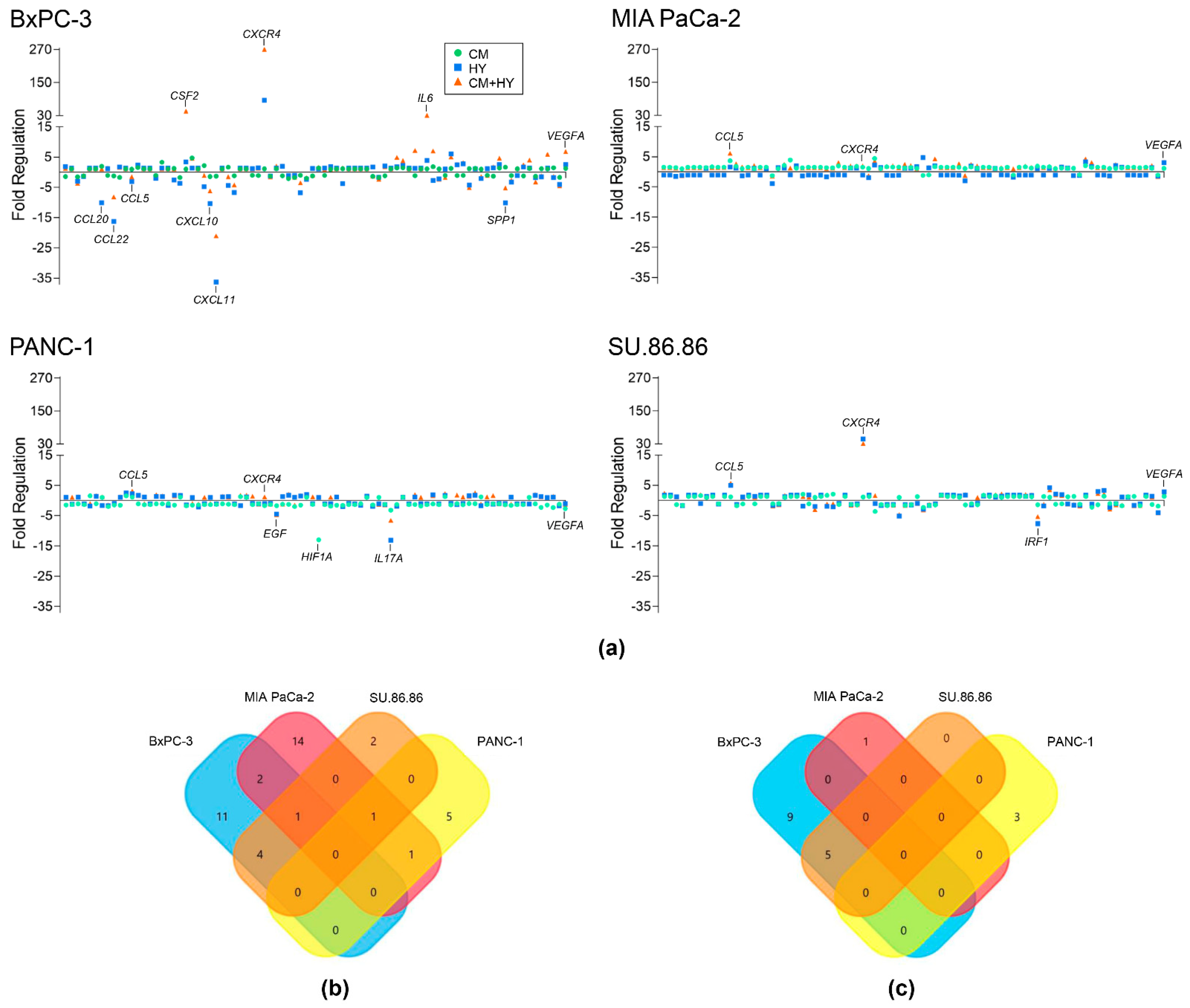 Ijms 23 02117 g001 Ijms 23 02117 g001