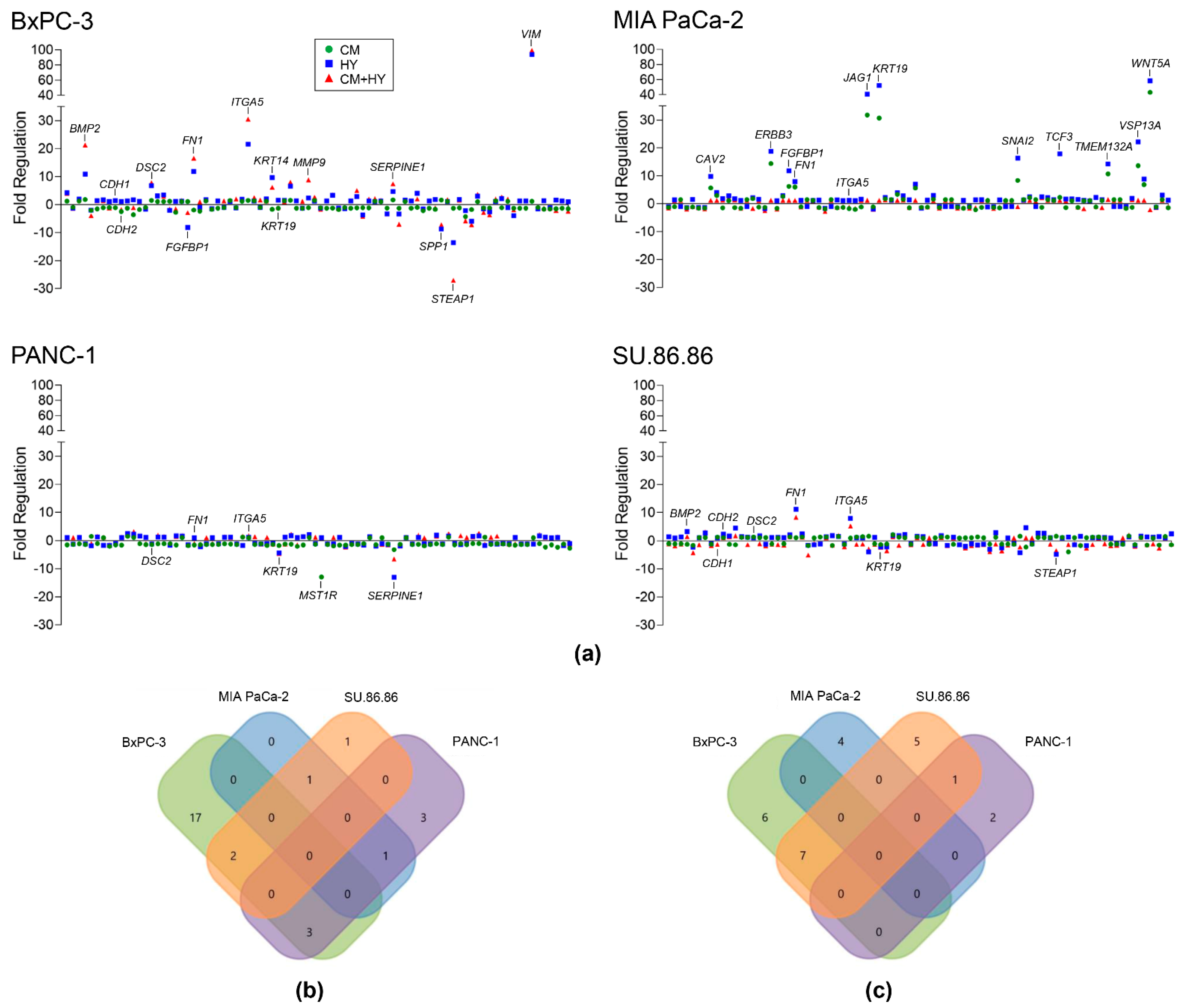 Ijms 23 02117 g002 Ijms 23 02117 g002