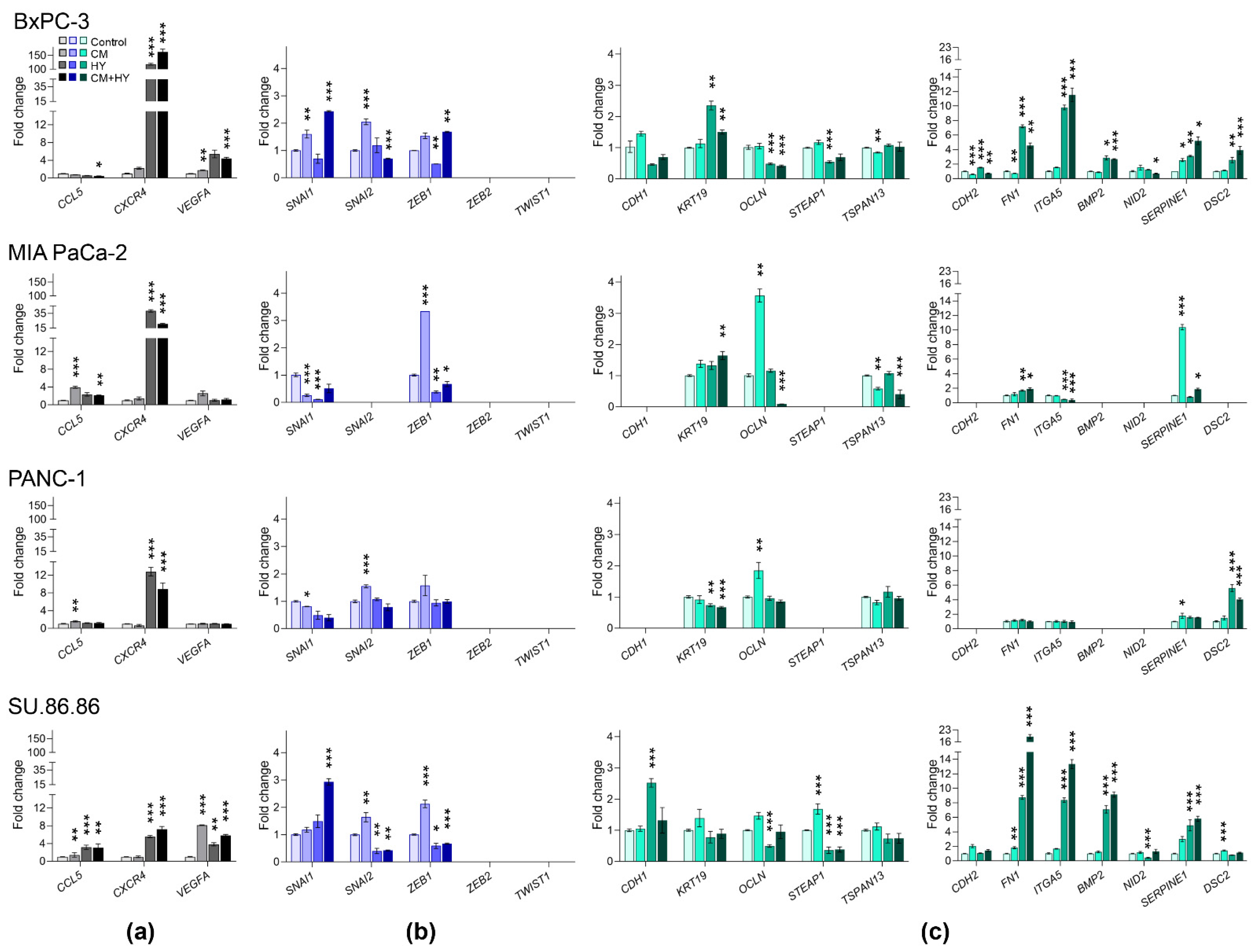 Ijms 23 02117 g003 Ijms 23 02117 g003