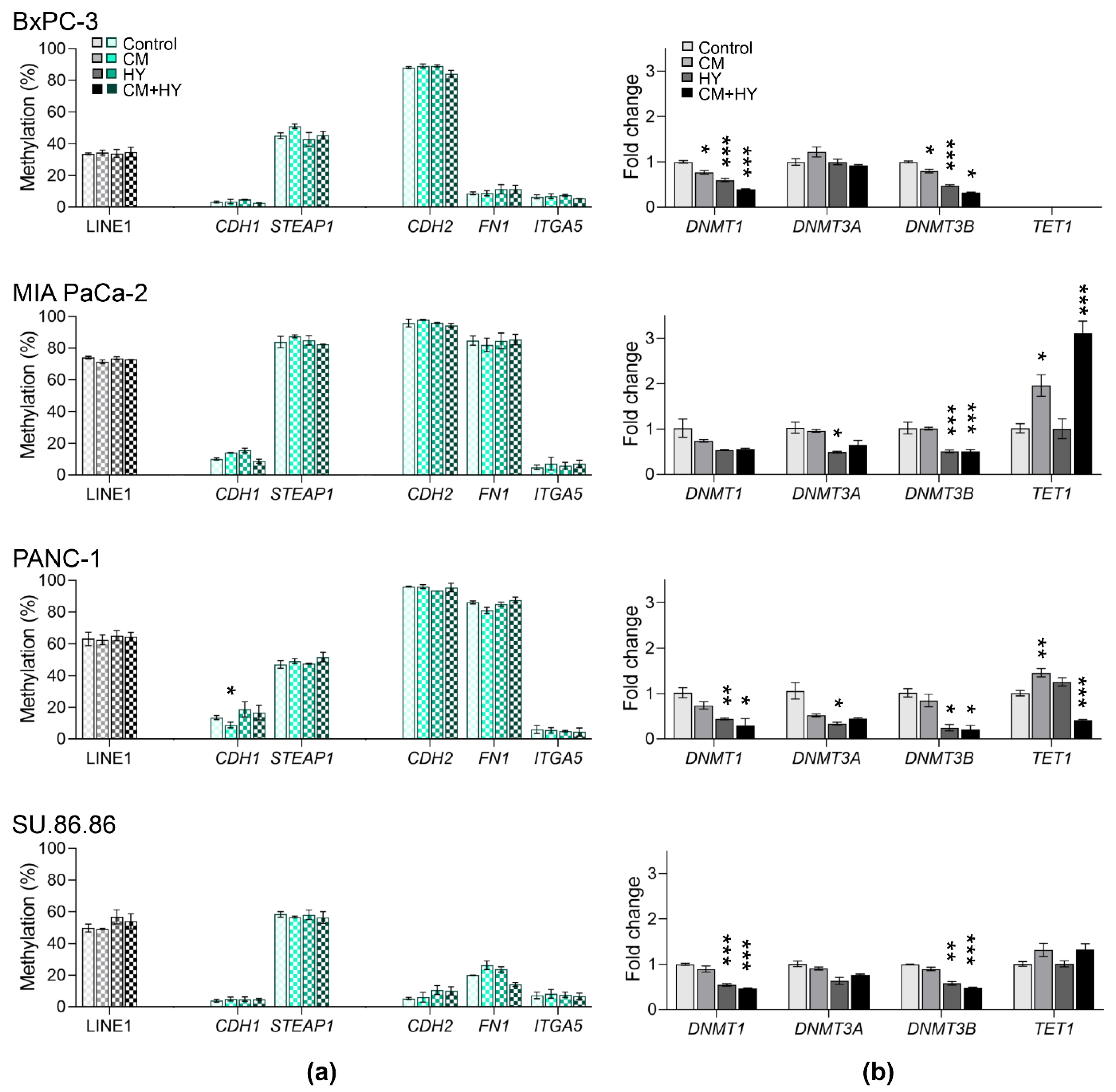 Ijms 23 02117 g006 Ijms 23 02117 g006