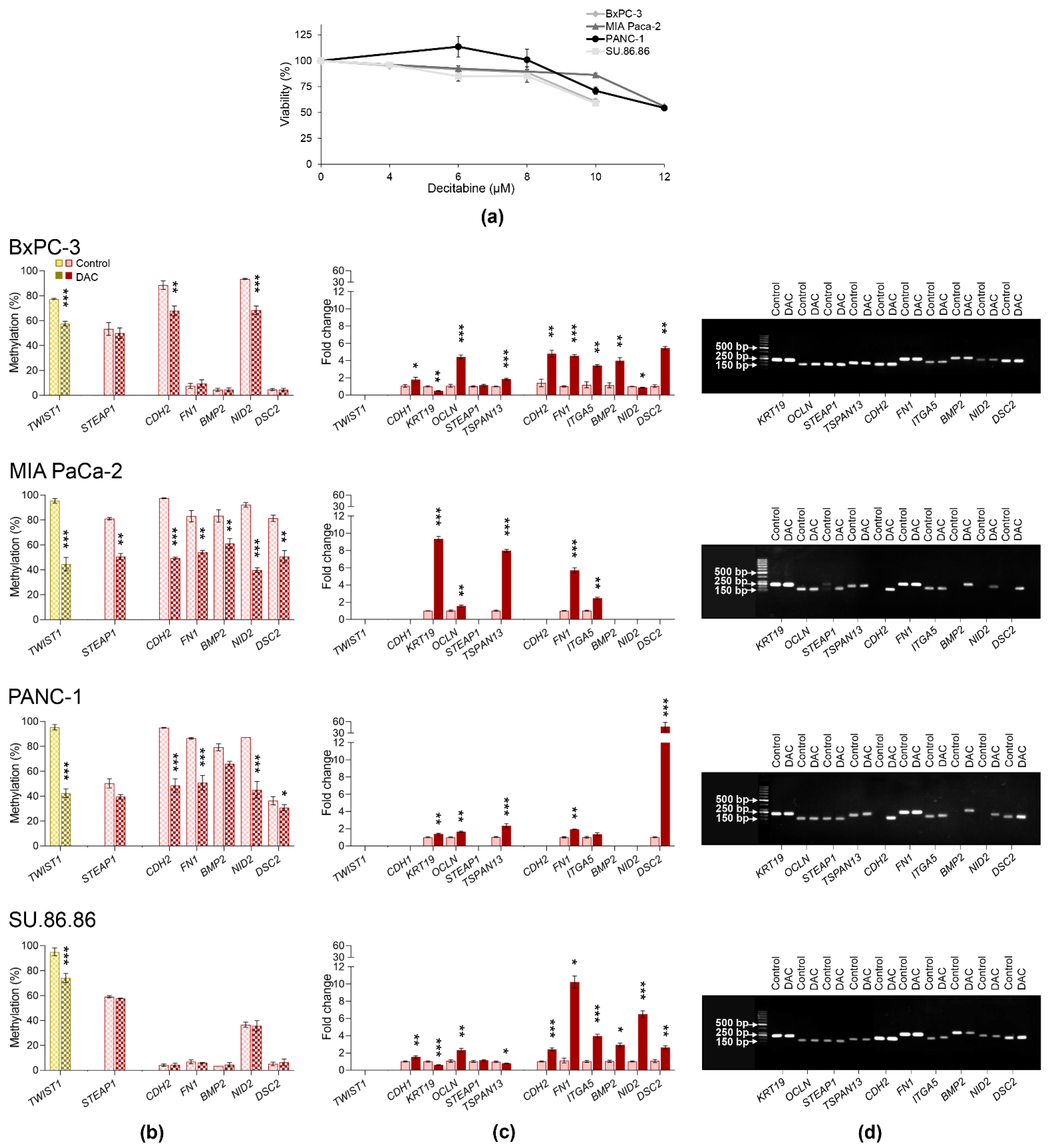 Ijms 23 02117 g008 Ijms 23 02117 g008