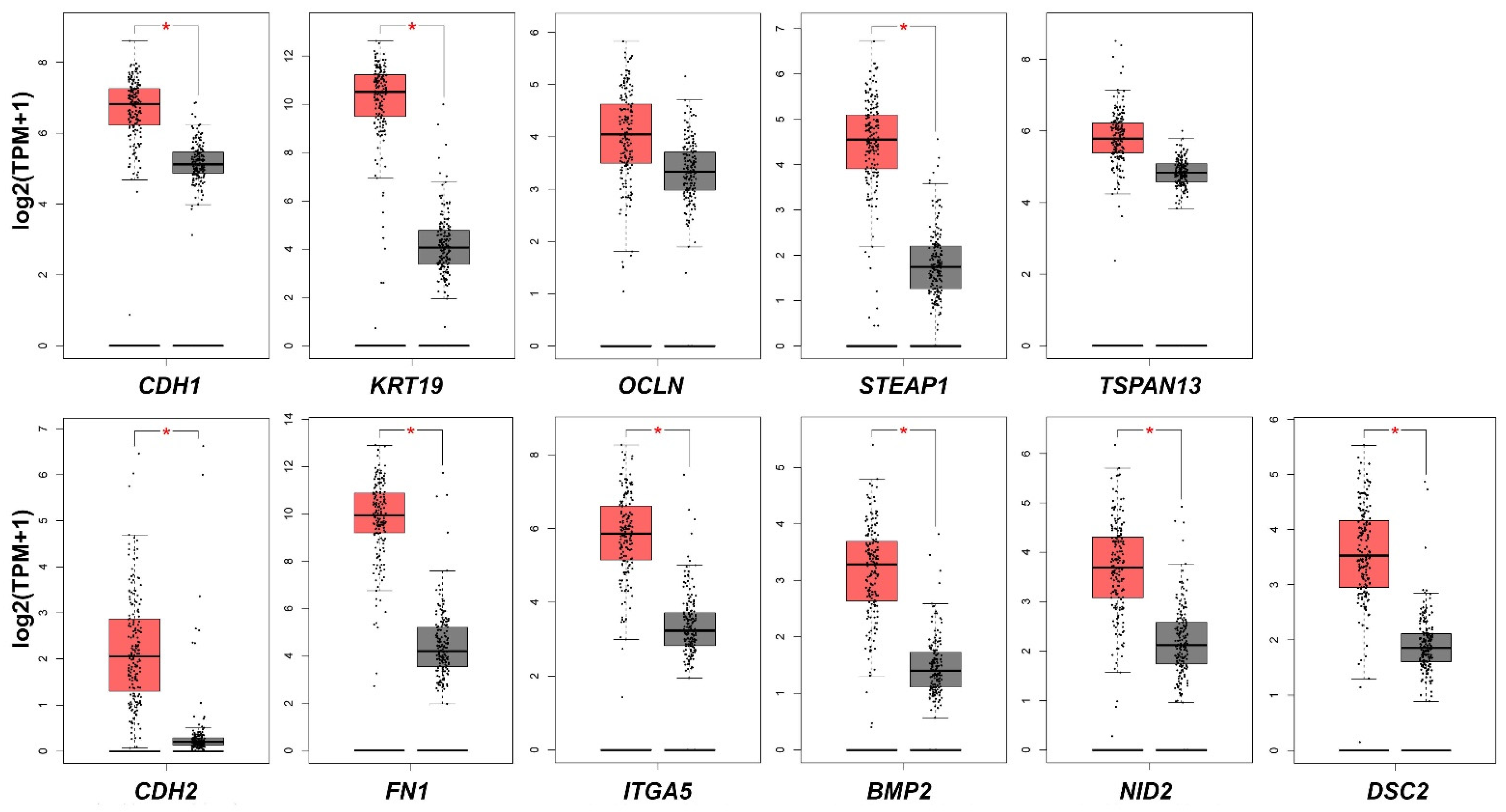 Ijms 23 02117 g009 Ijms 23 02117 g009