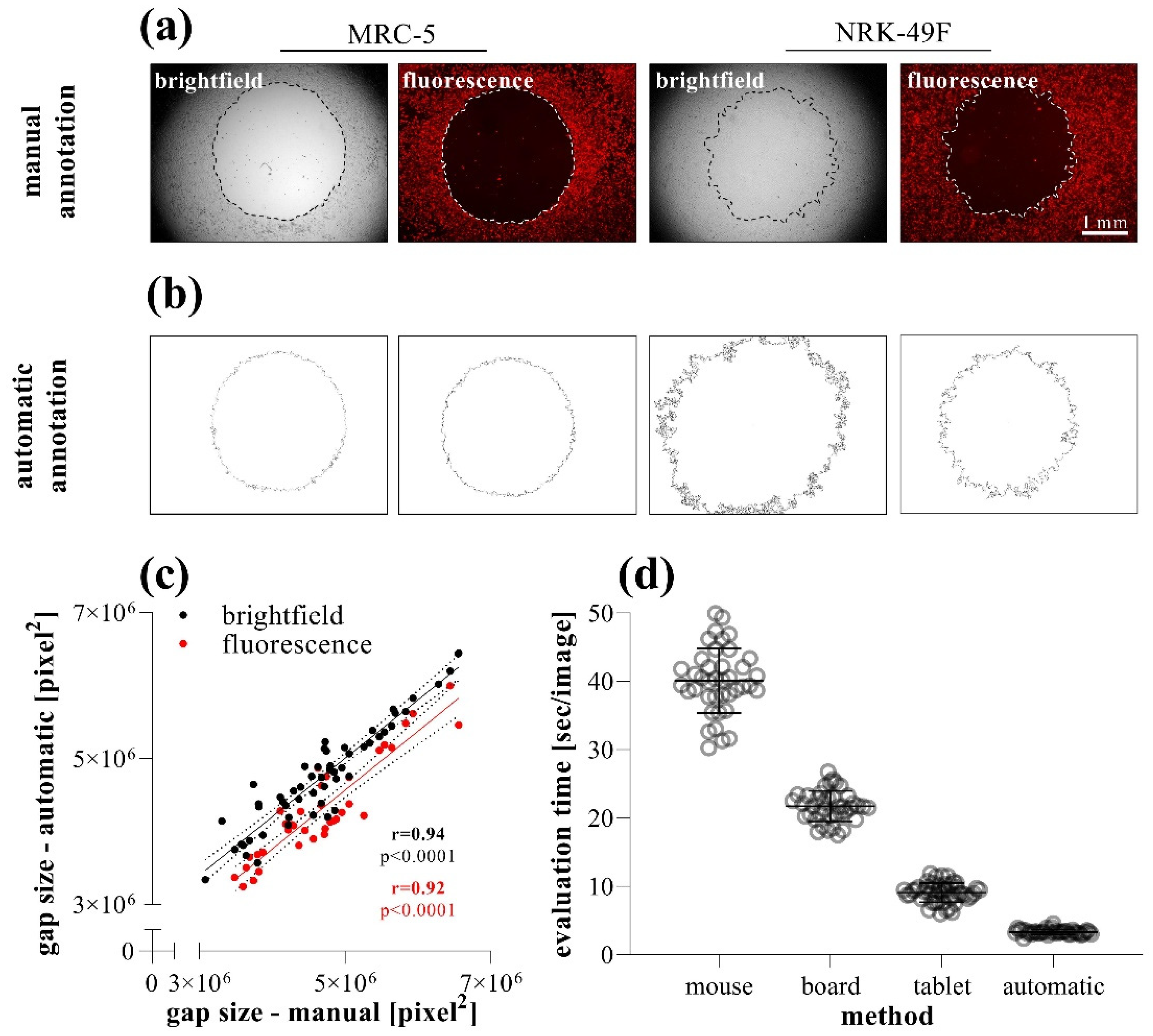 Ijms 23 02119 g006 550