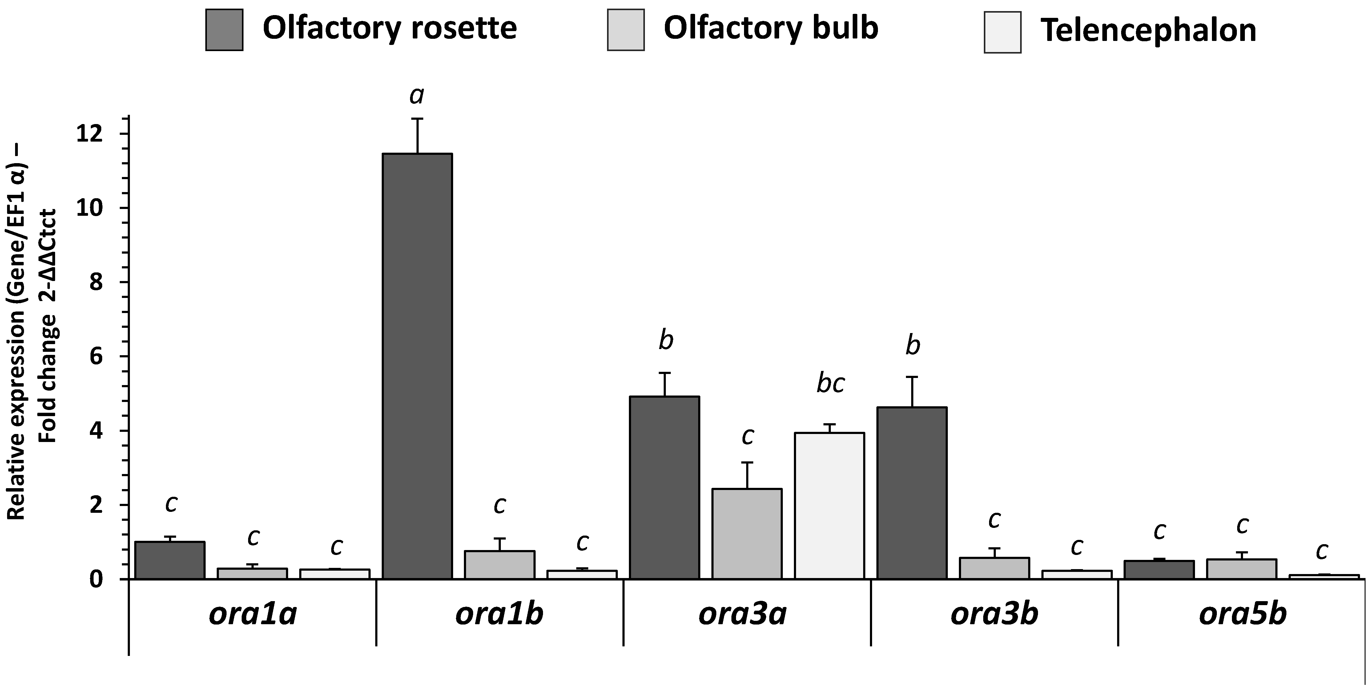 Ijms 23 02123 g002 550