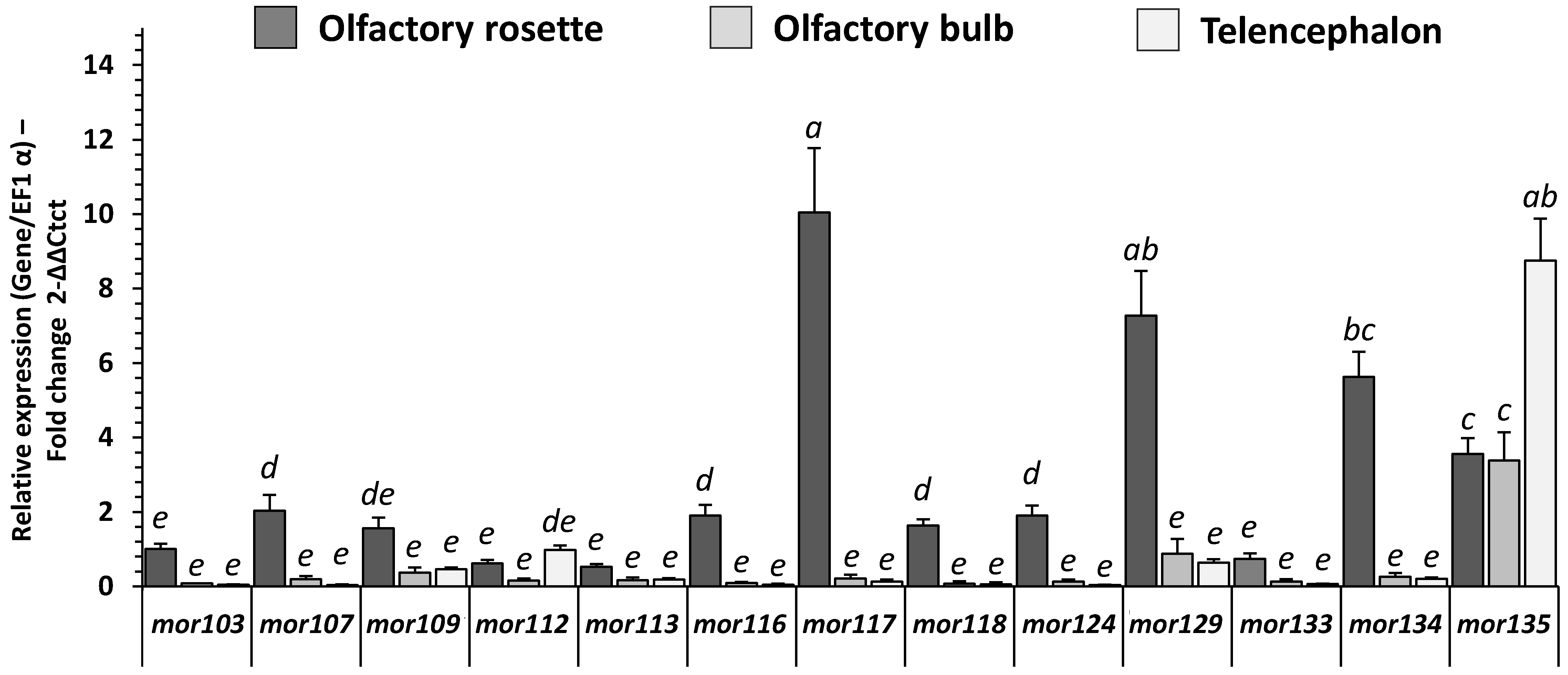 Ijms 23 02123 g006 550