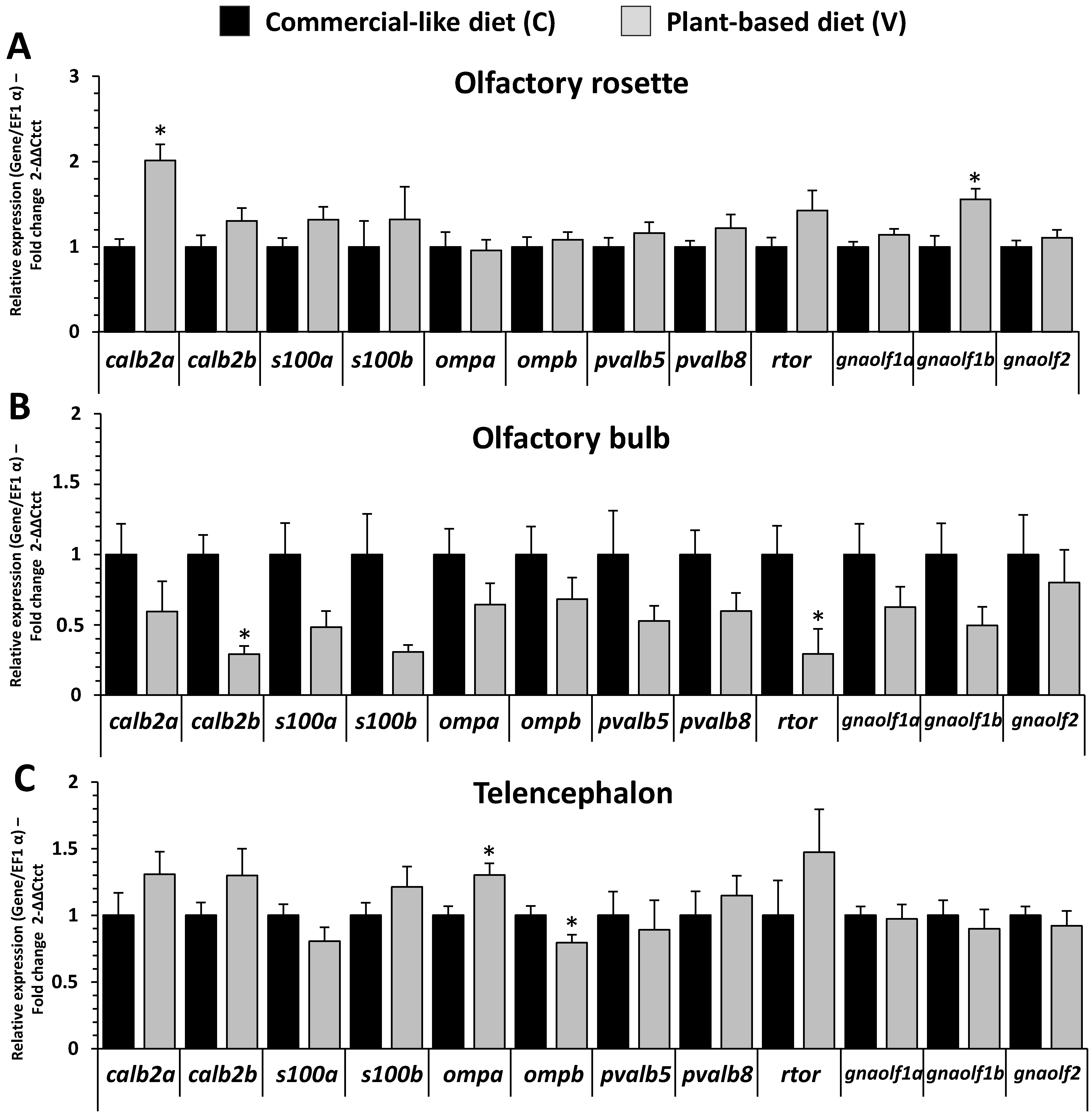 Ijms 23 02123 g008 550