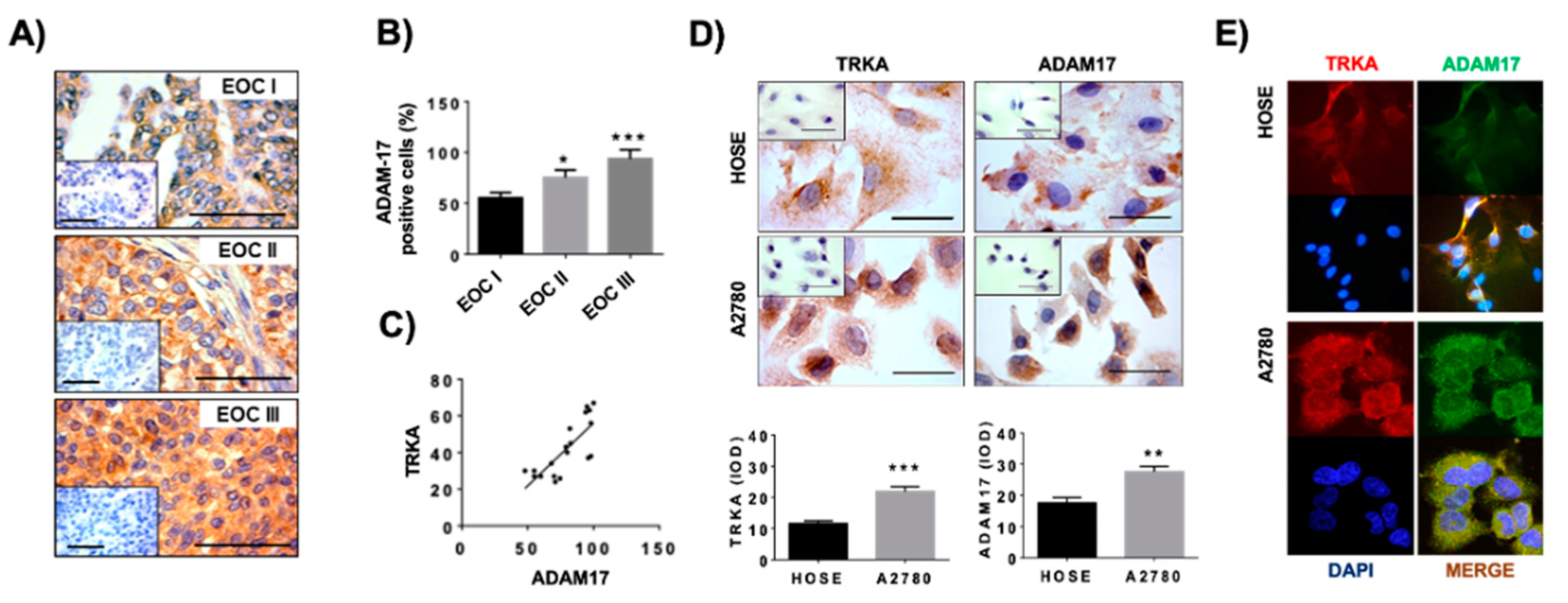 Ijms 23 02124 g002 550