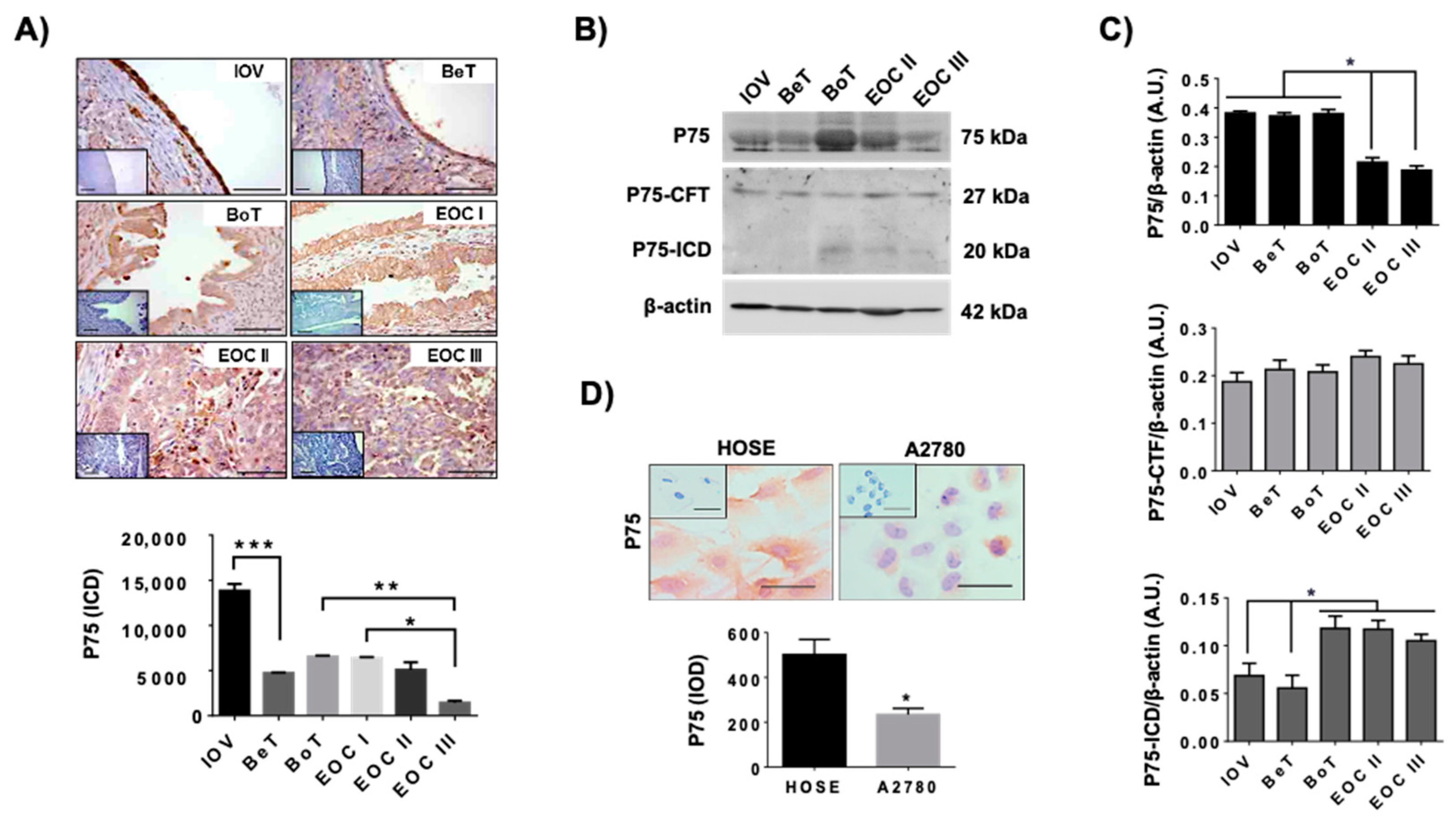 Ijms 23 02124 g003 550