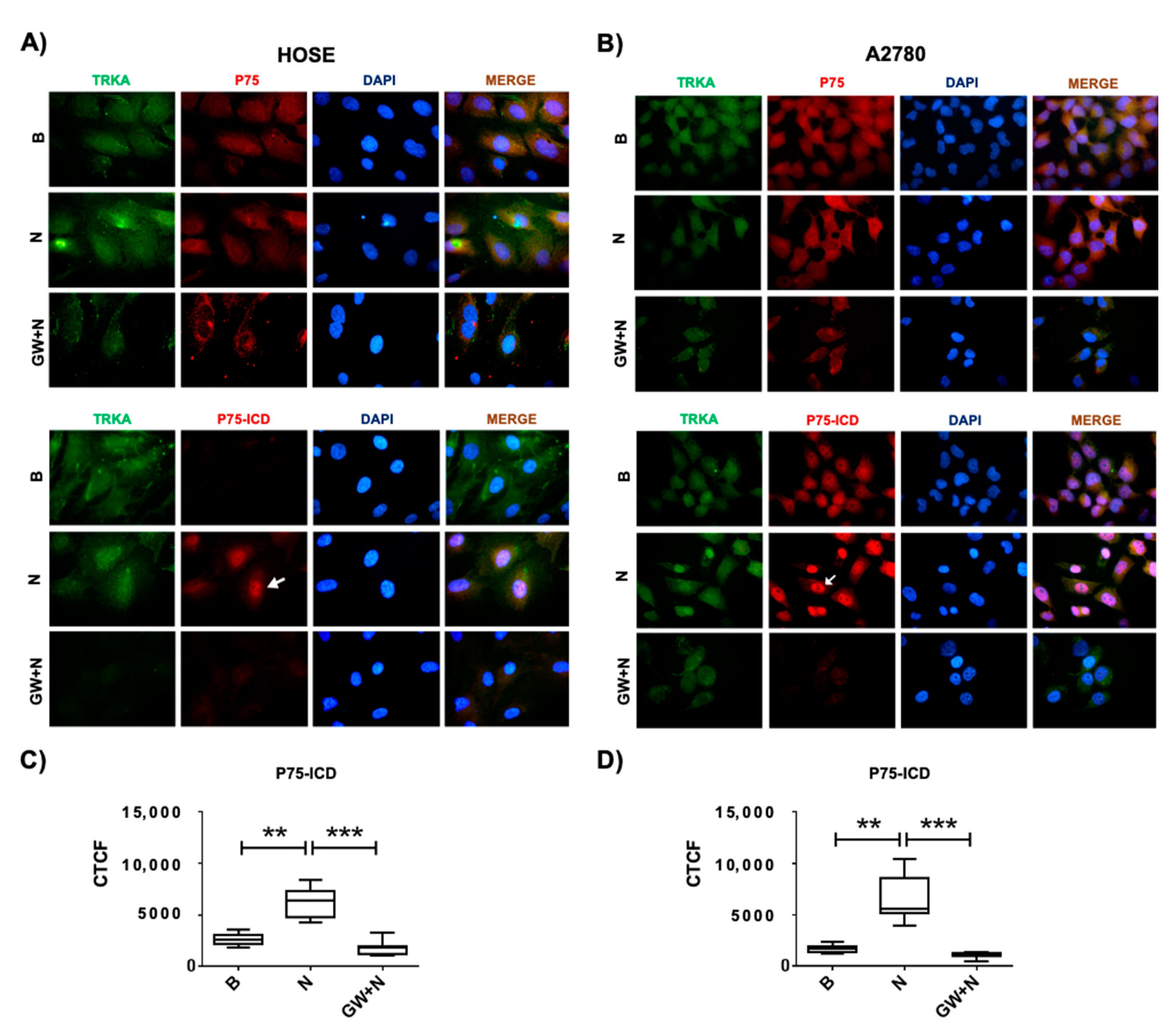 Ijms 23 02124 g005 550