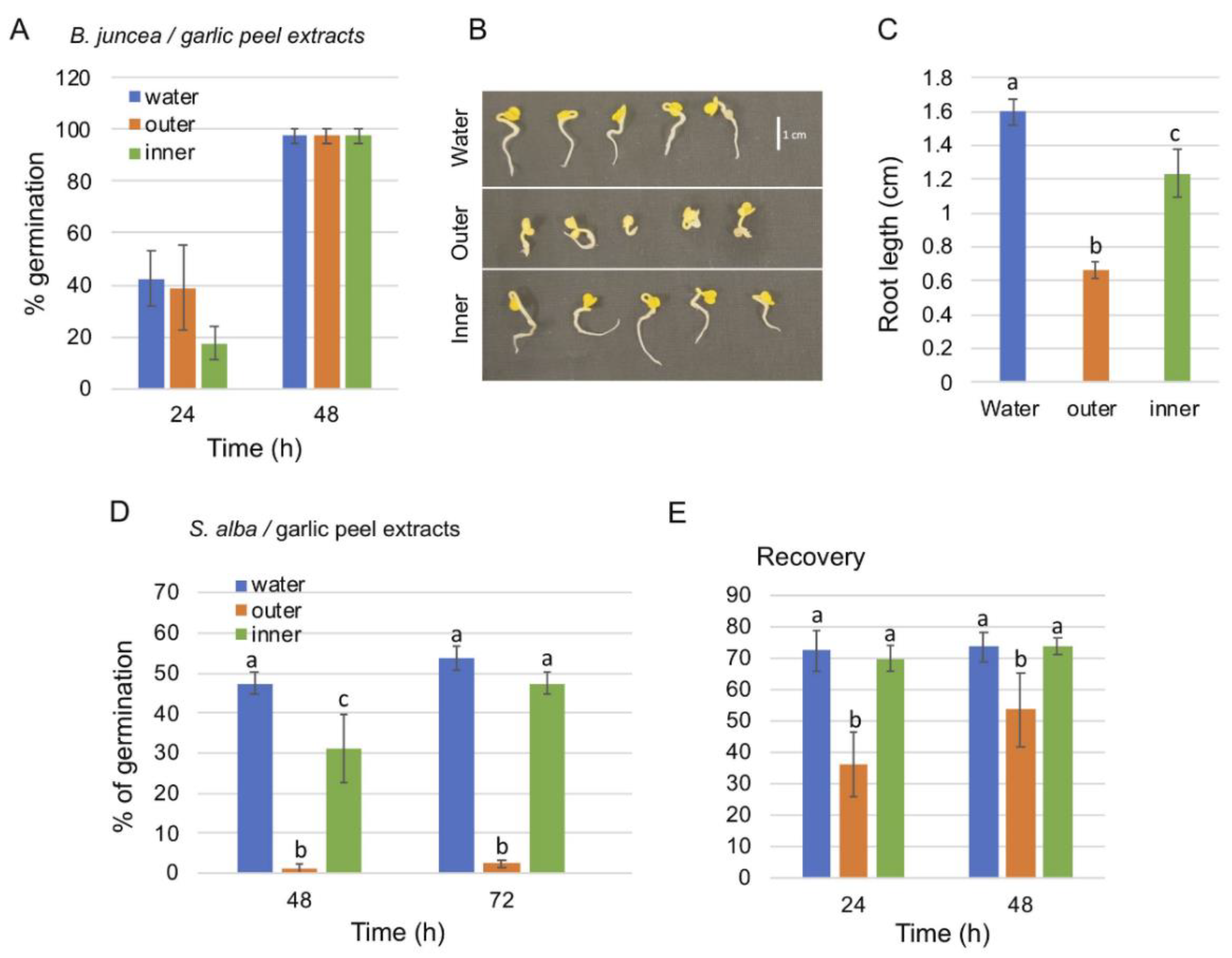 Ijms 23 02126 g002 550