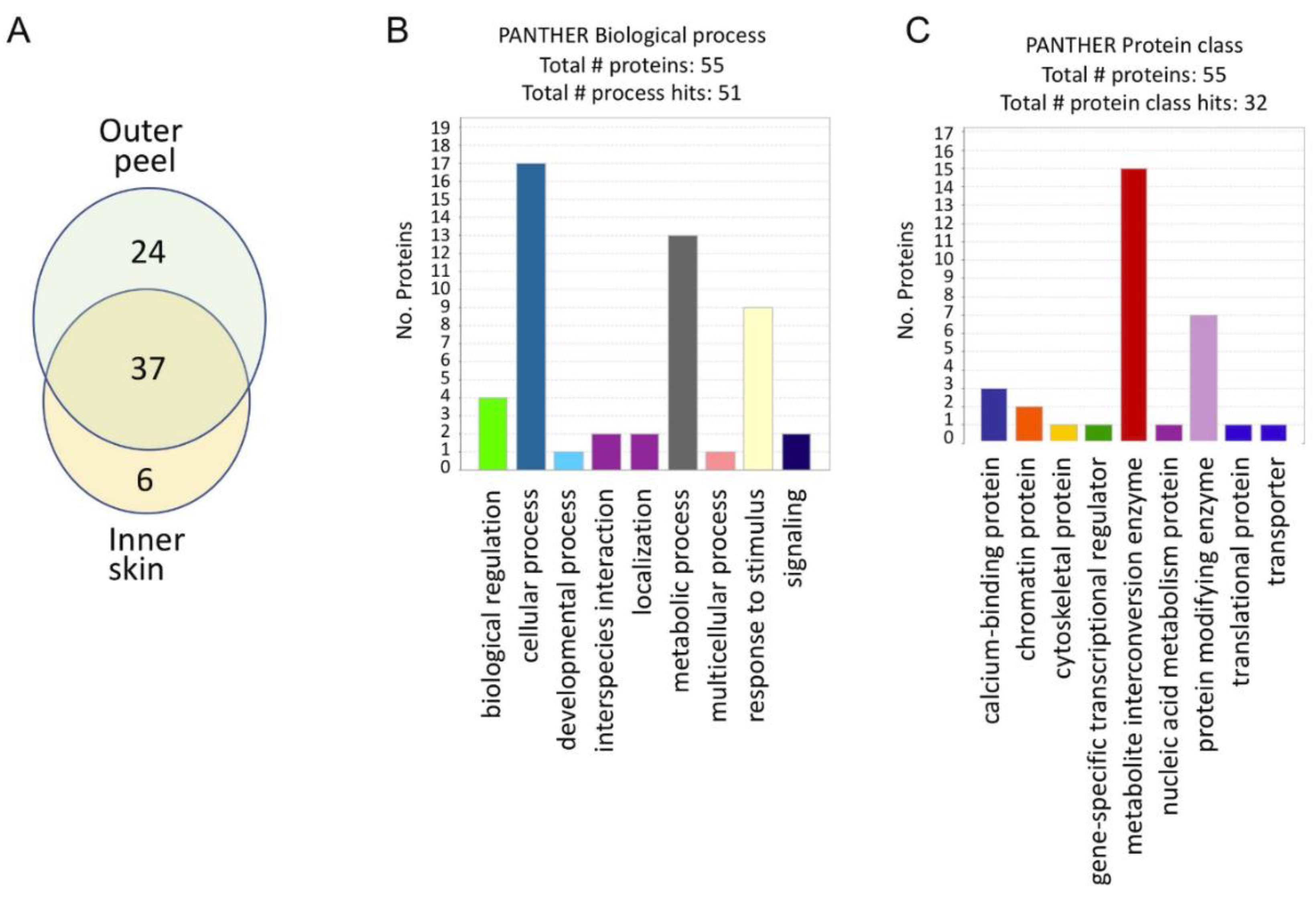 Ijms 23 02126 g003 550