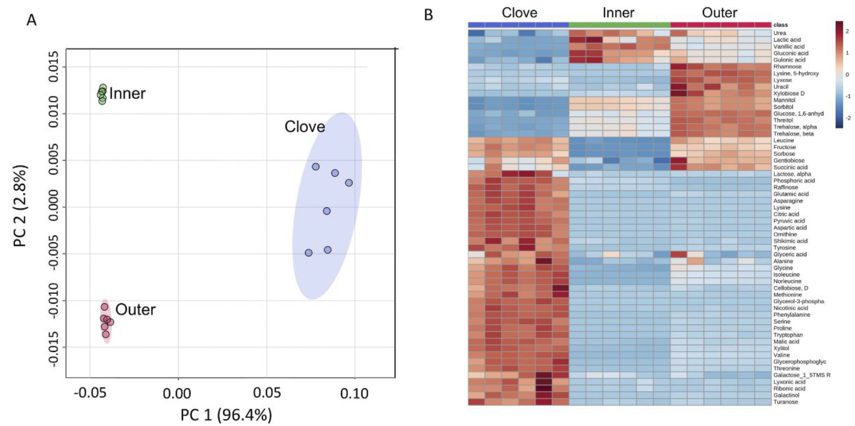 Ijms 23 02126 g005 550