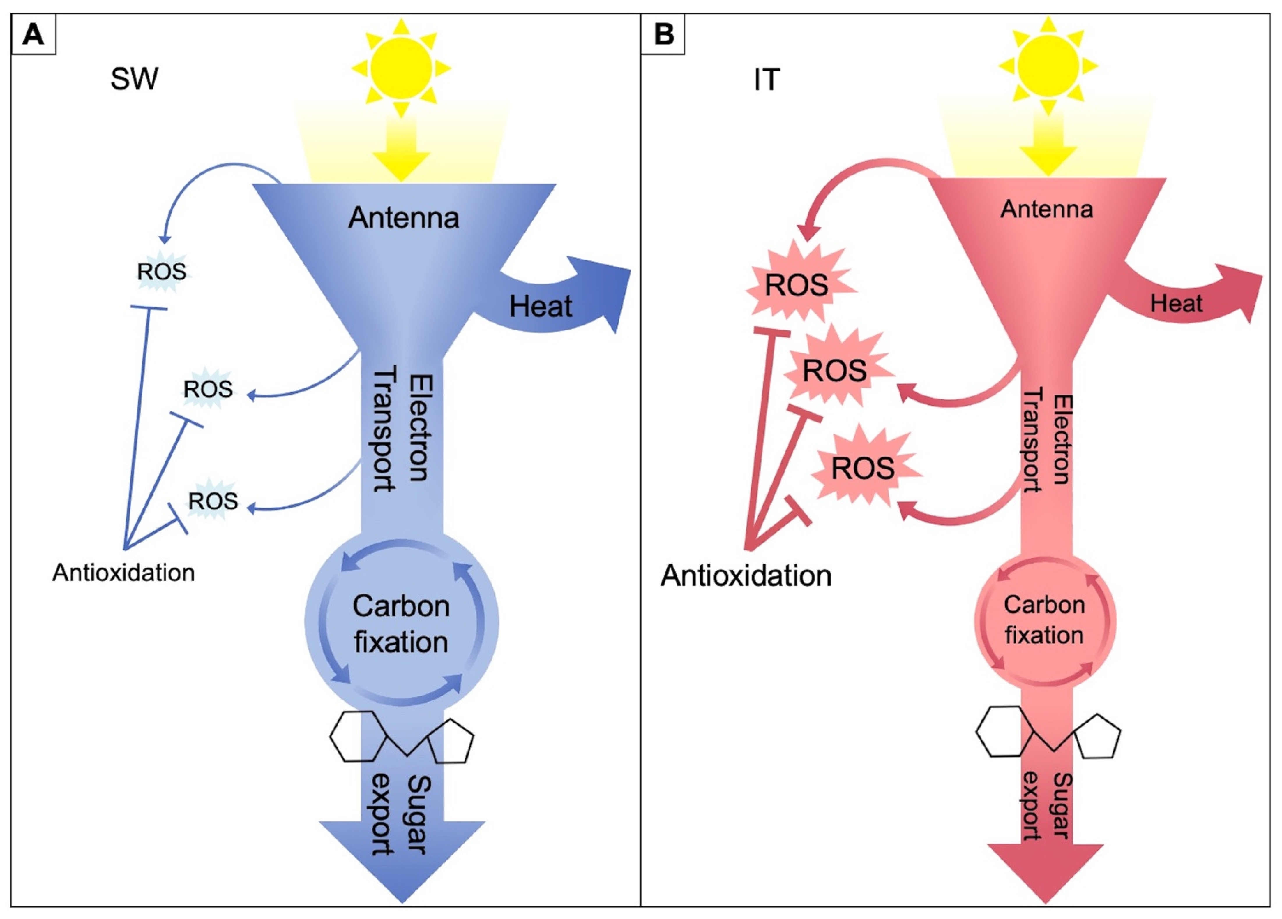 Ijms 23 02129 g002 550