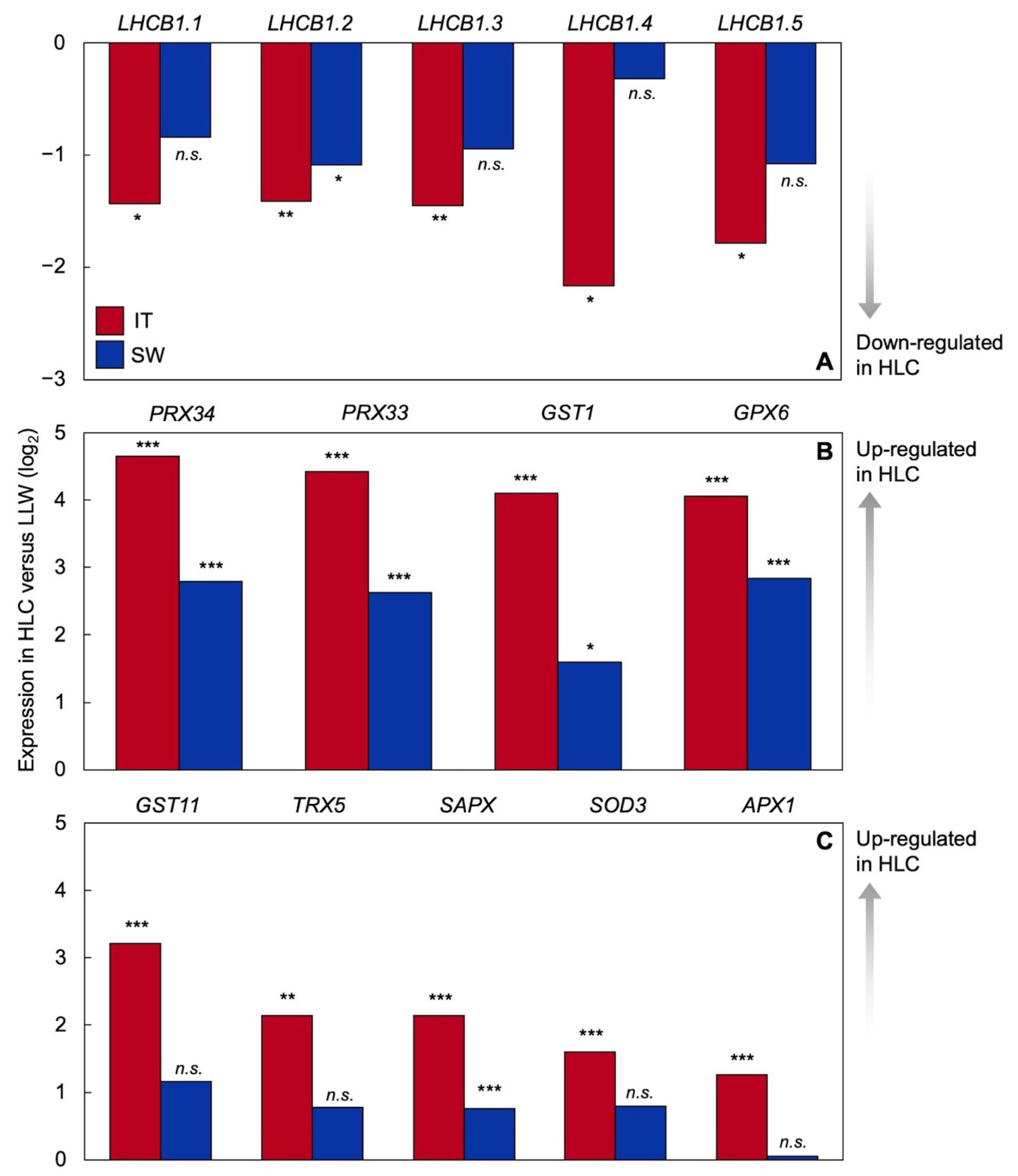 Ijms 23 02129 g007 550