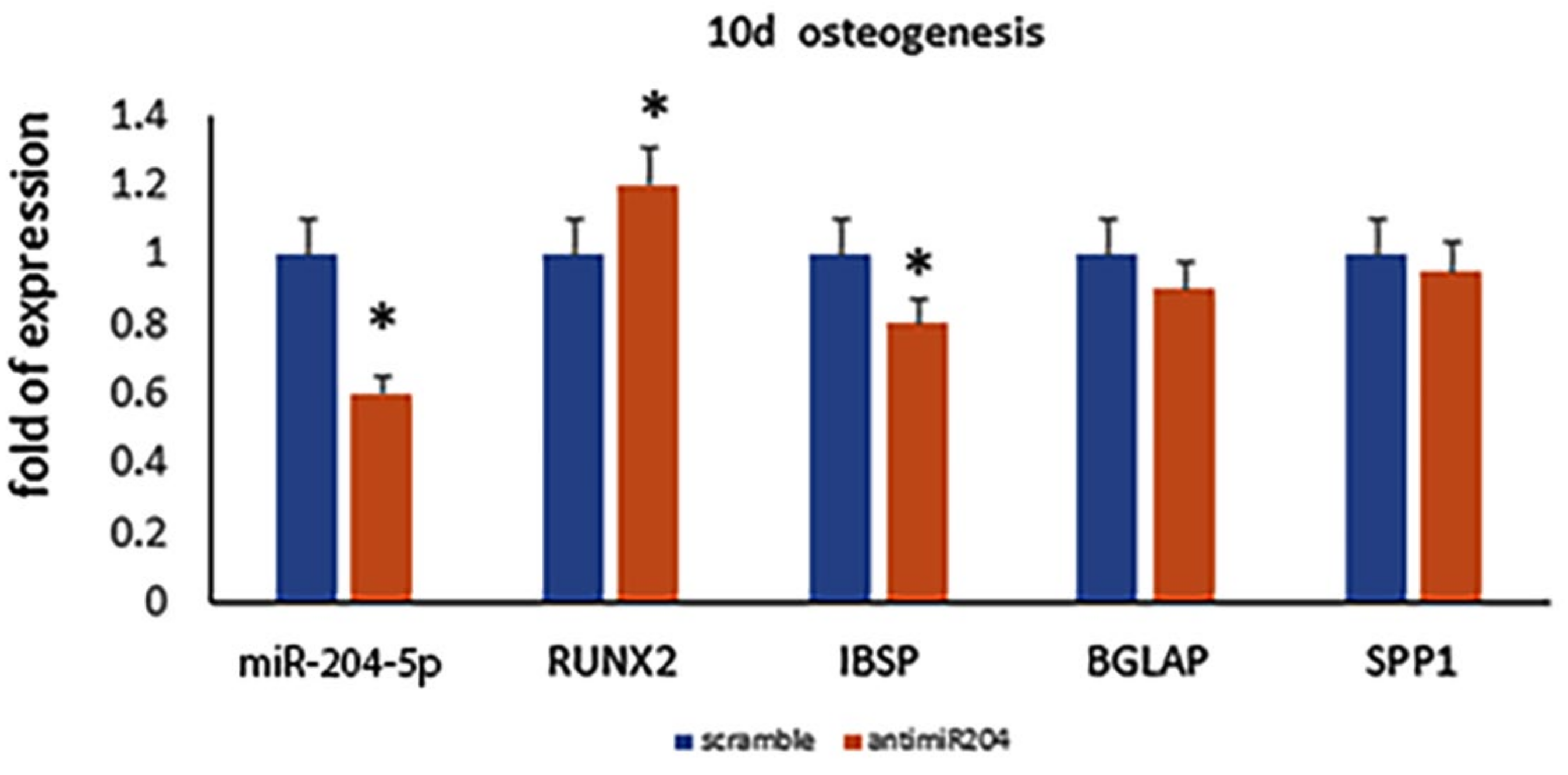 Ijms 23 02130 g005 550