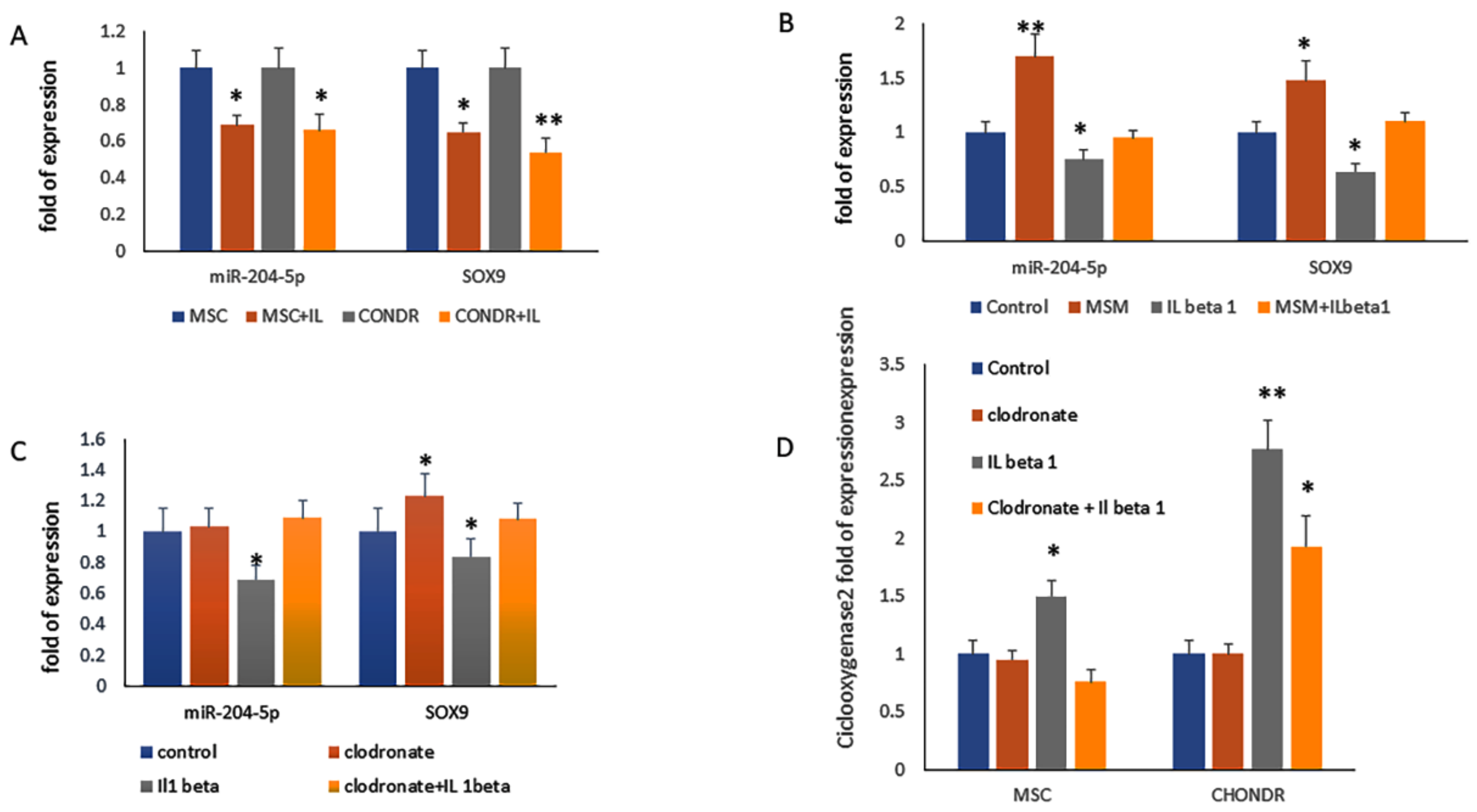 Ijms 23 02130 g006 550