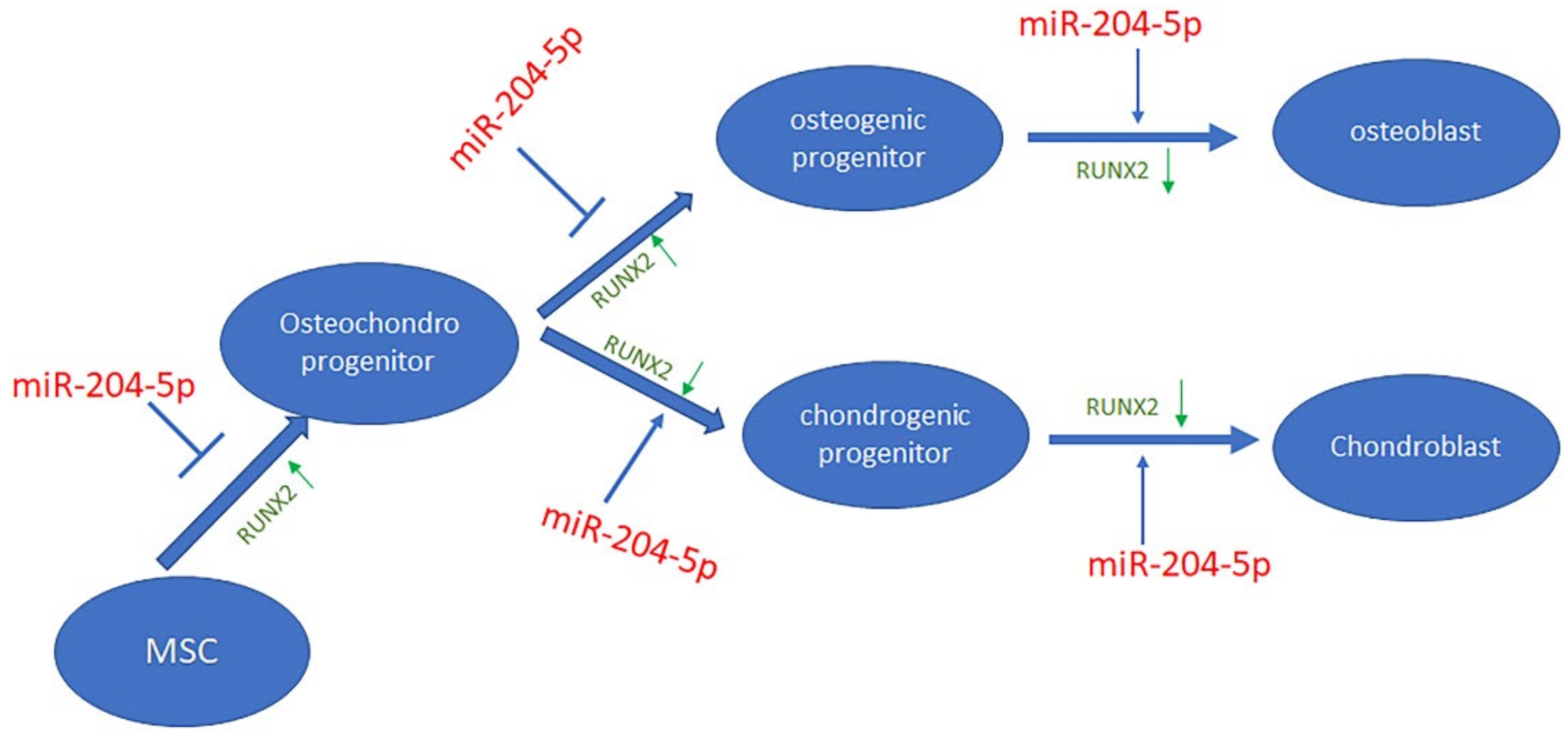 Ijms 23 02130 g007 550
