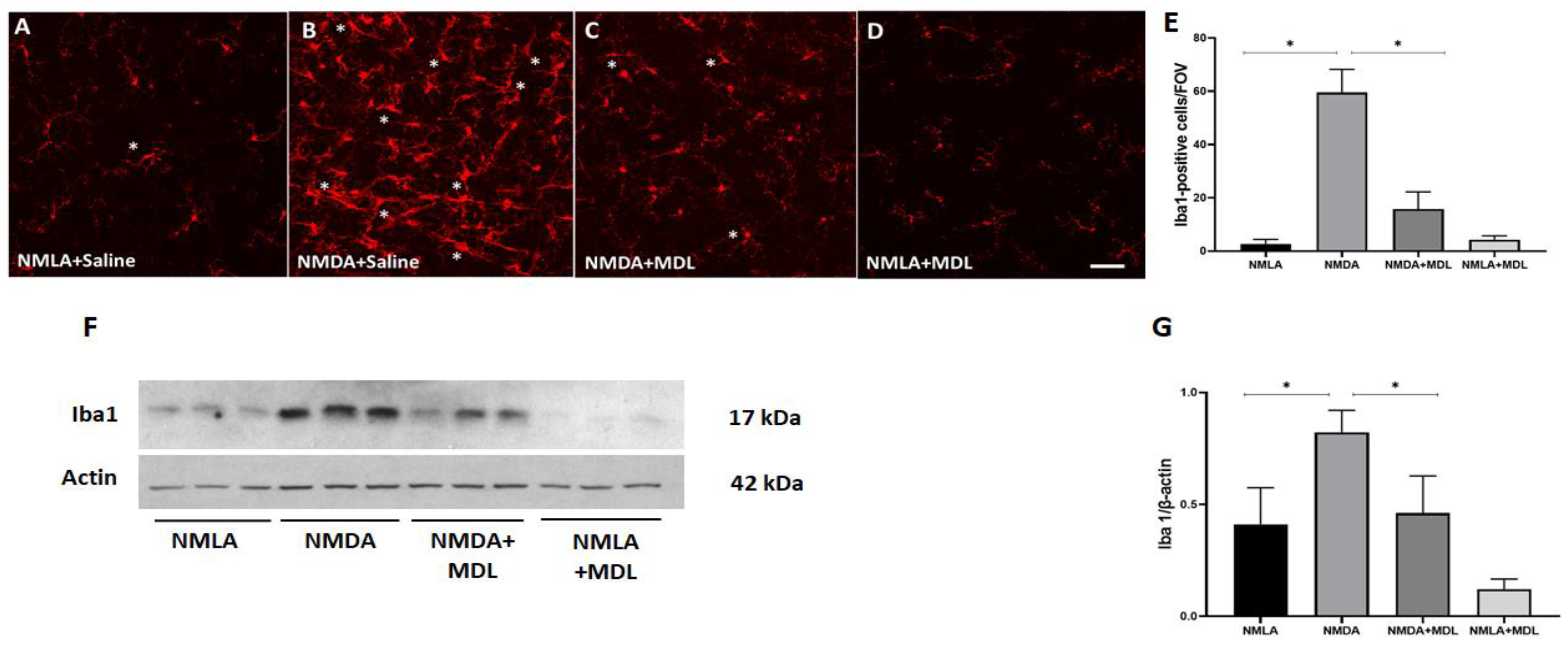Ijms 23 02133 g001 550